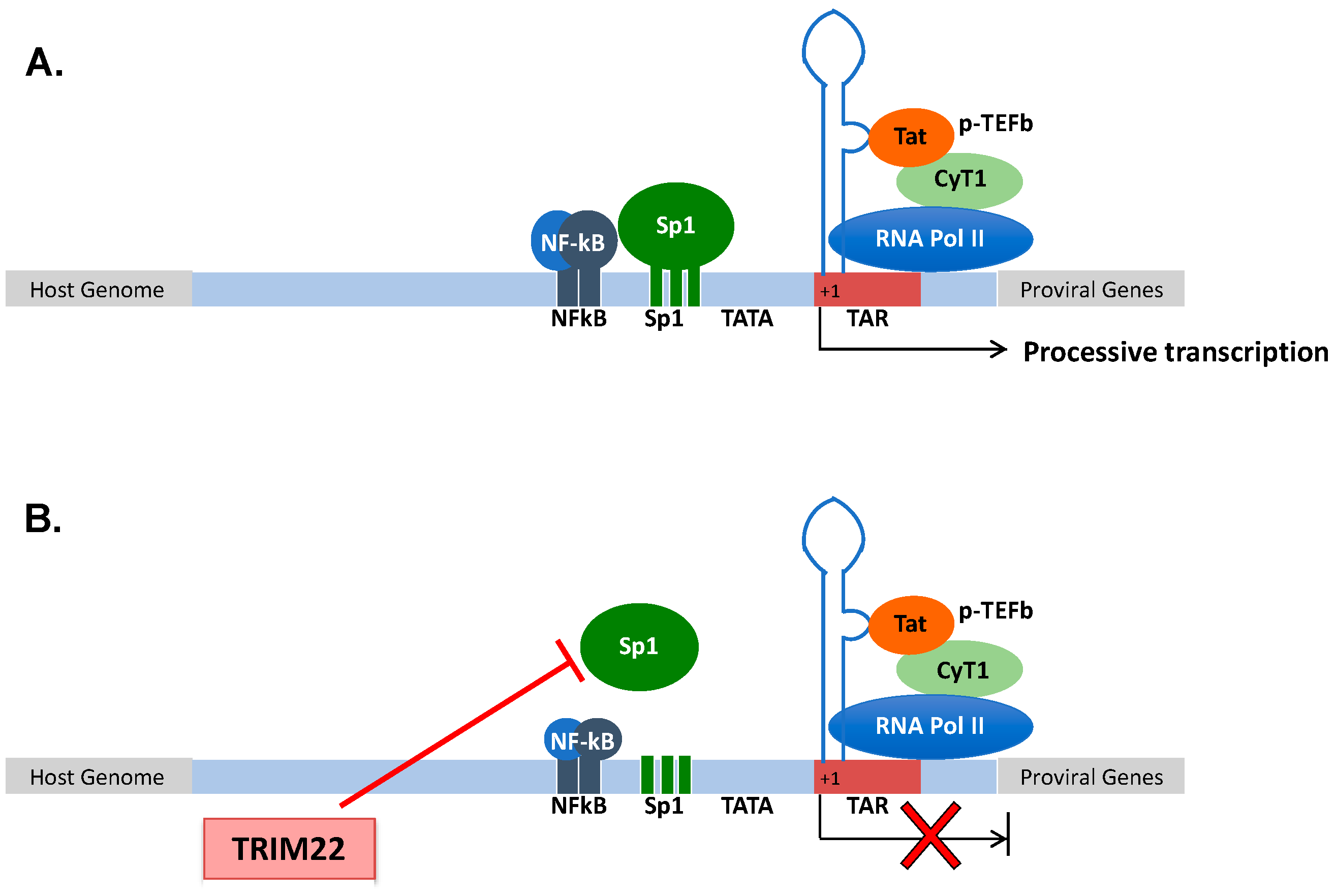 Cells 10 01864 g001 Cells 10 01864 g001