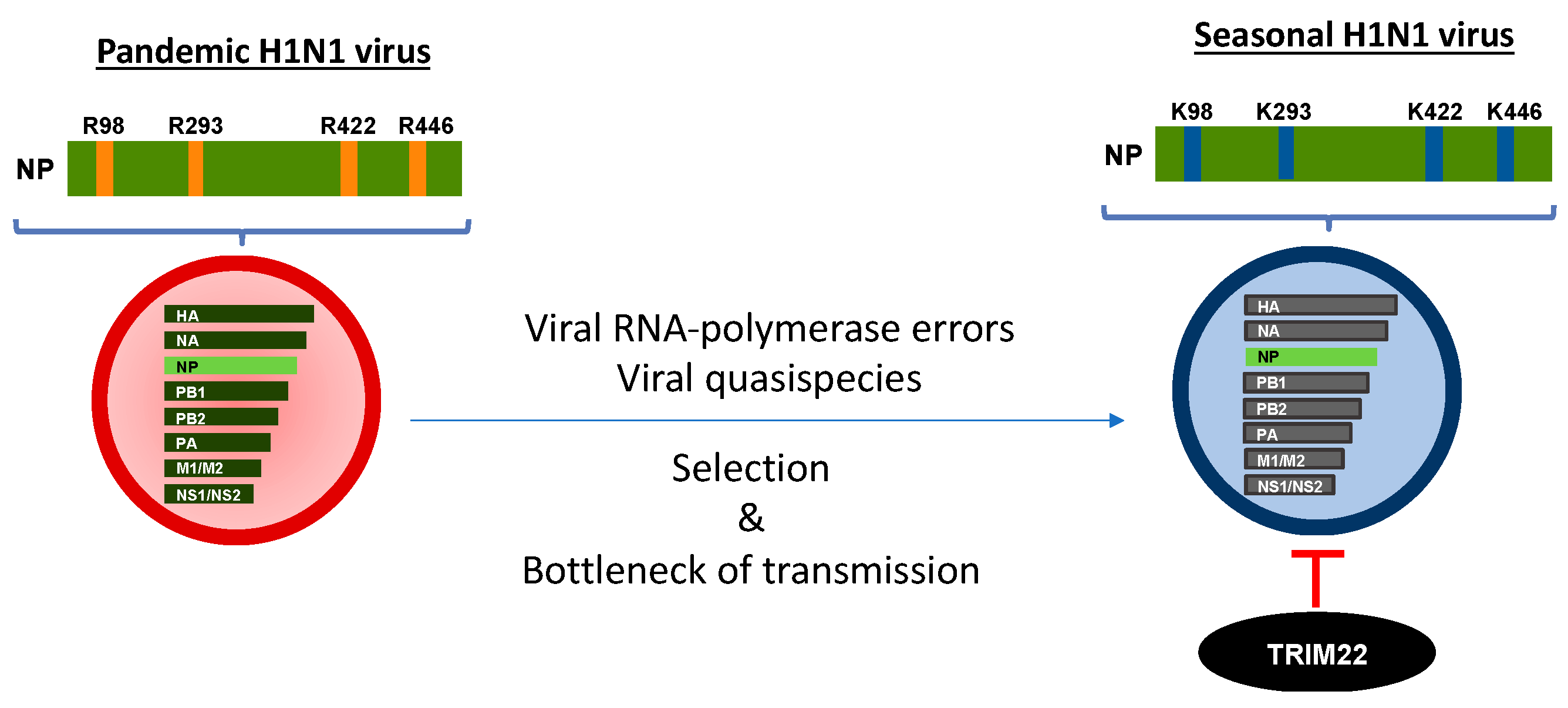 Cells 10 01864 g002 Cells 10 01864 g002