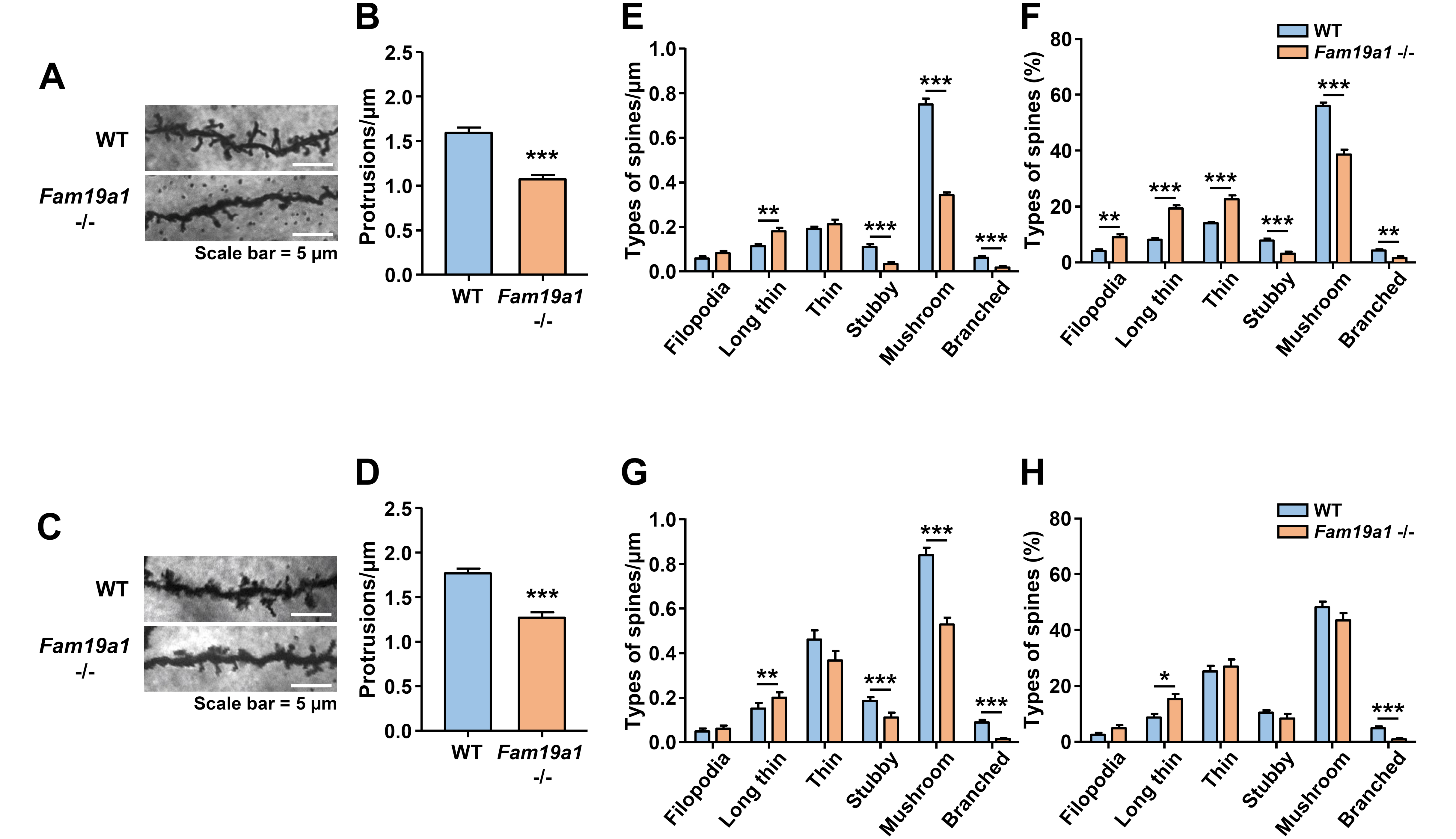 Cells 10 01868 g001 550