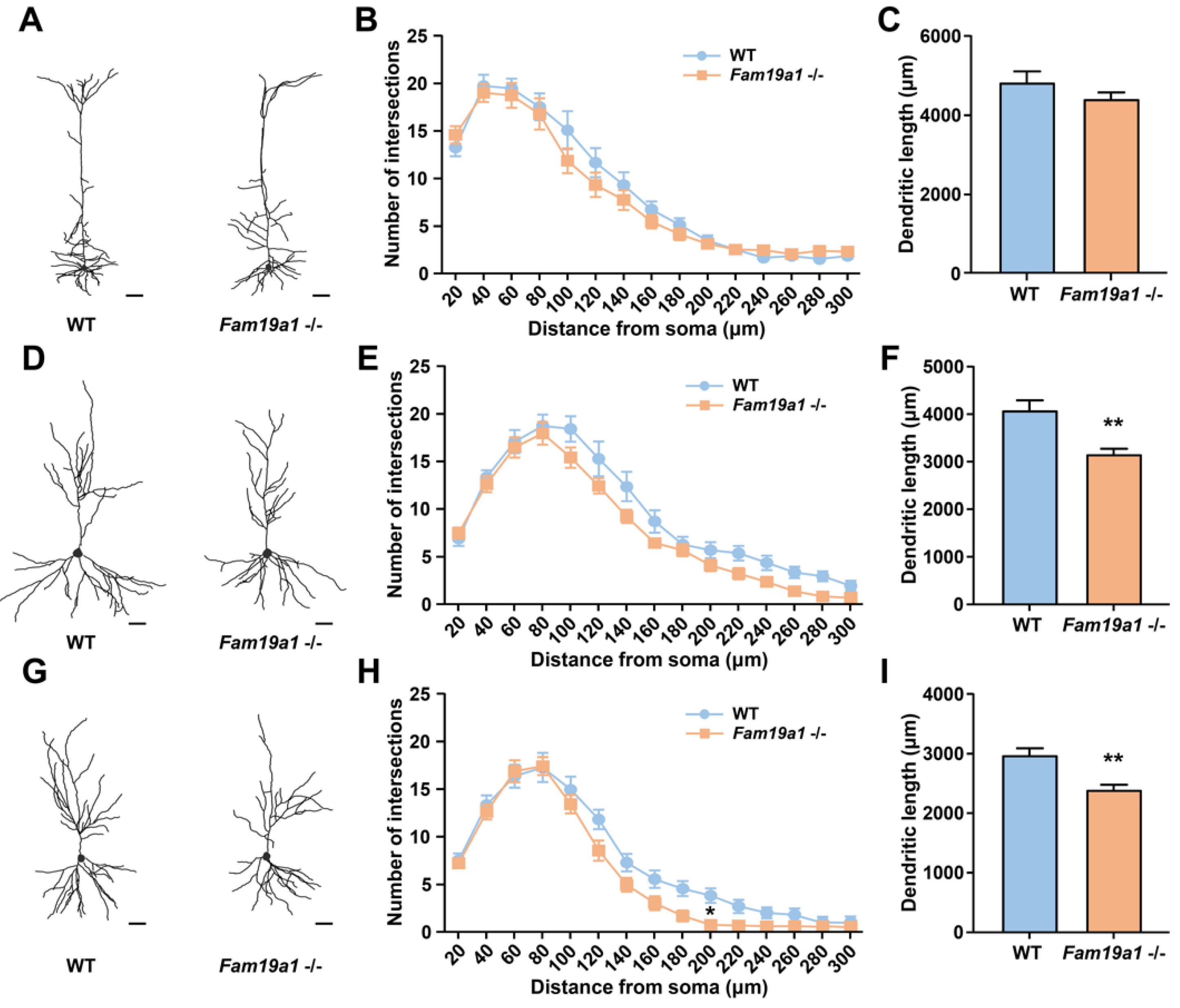 Cells 10 01868 g003 550