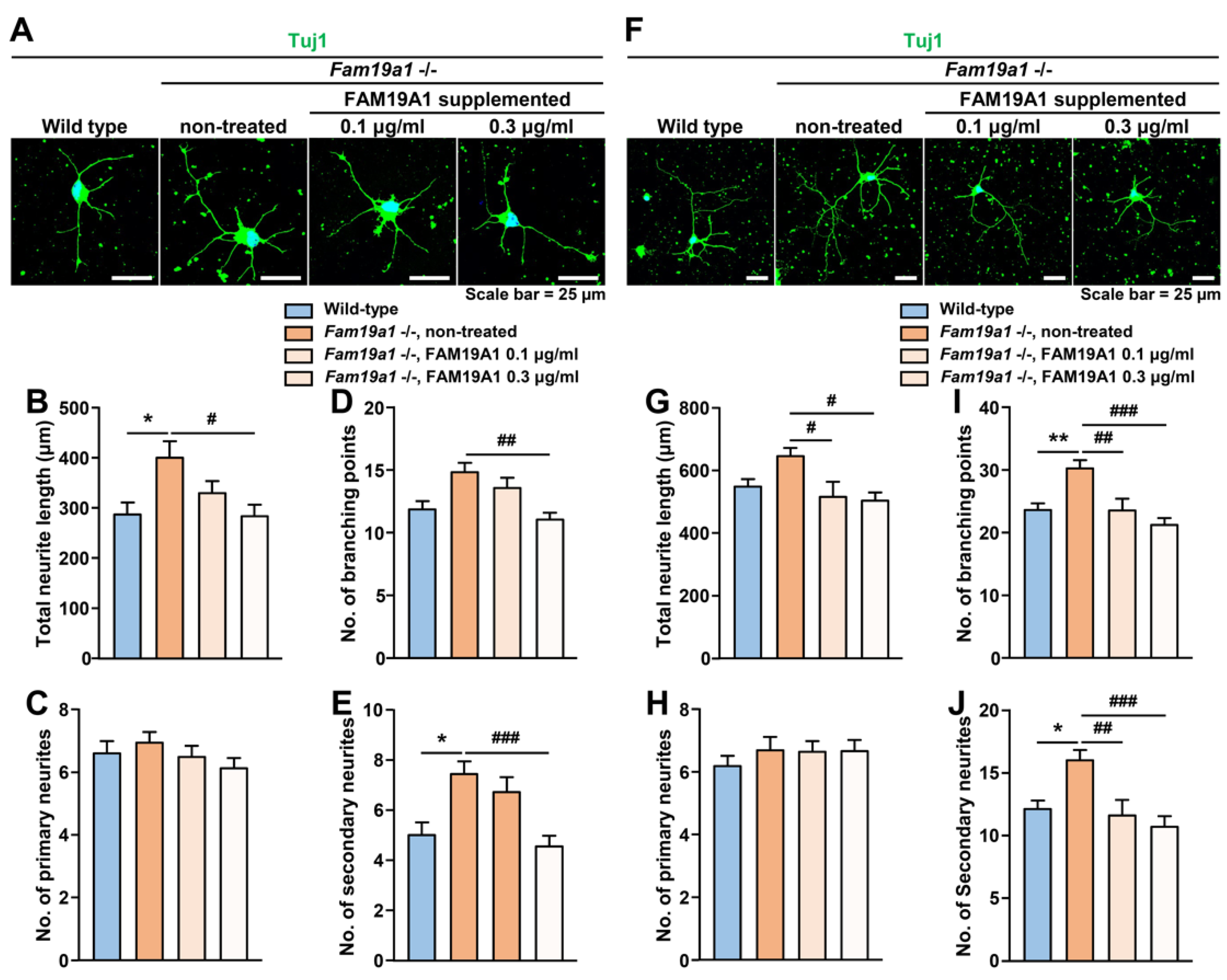 Cells 10 01868 g007 550