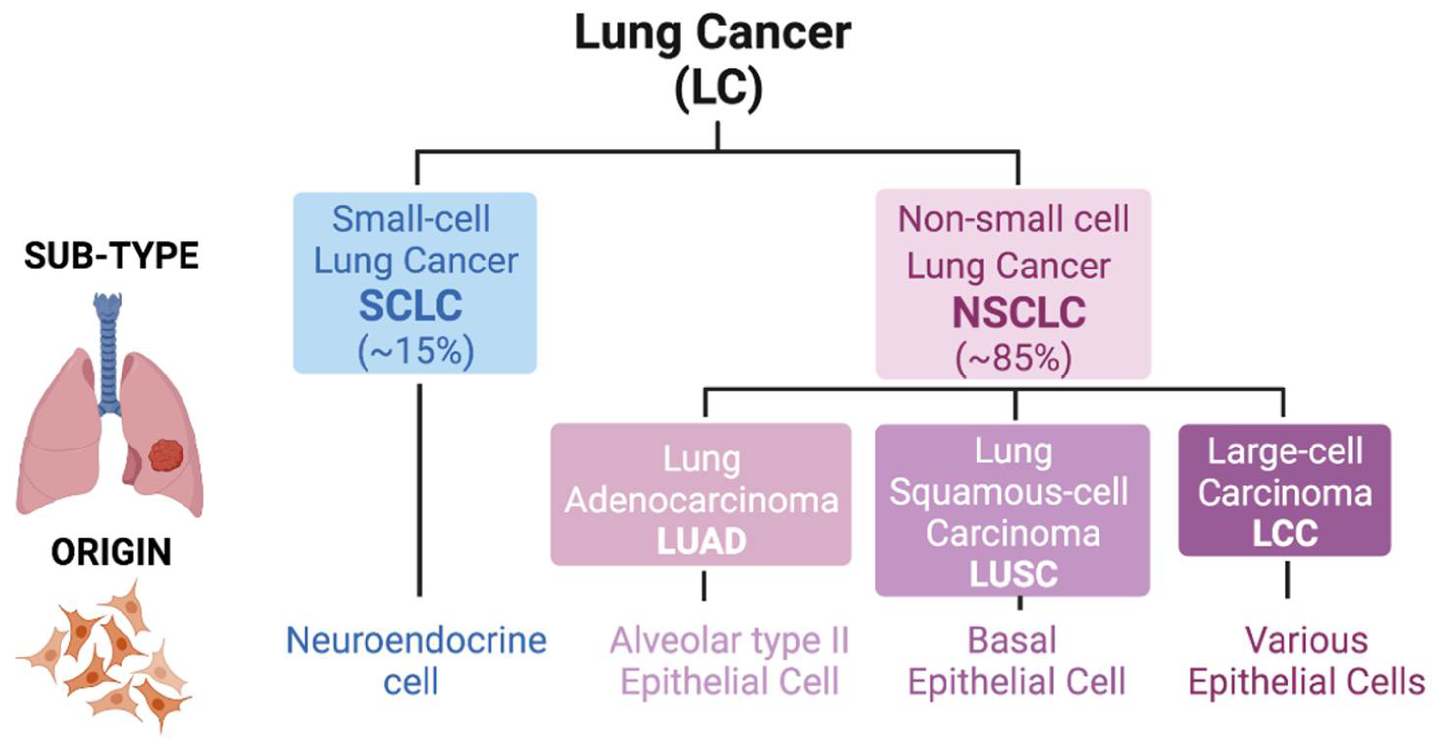 mesothelioma physical exam