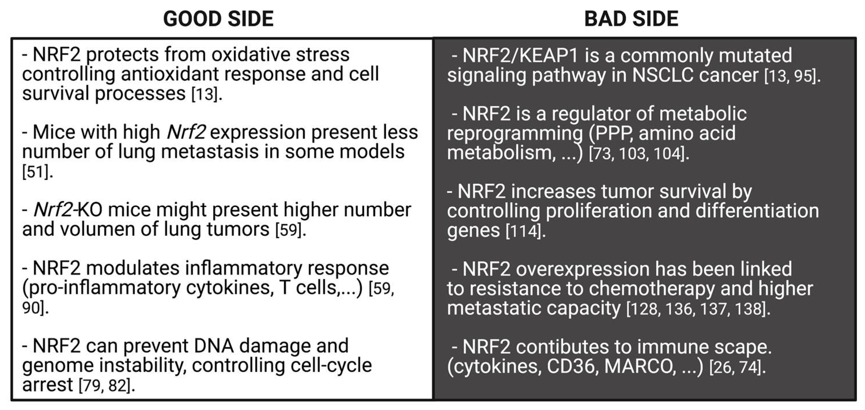 Cells Free Full Text Role Of Nrf2 In Lung Cancer Html Cells Free Full Text Role Of Nrf2 In Lung Cancer Html
