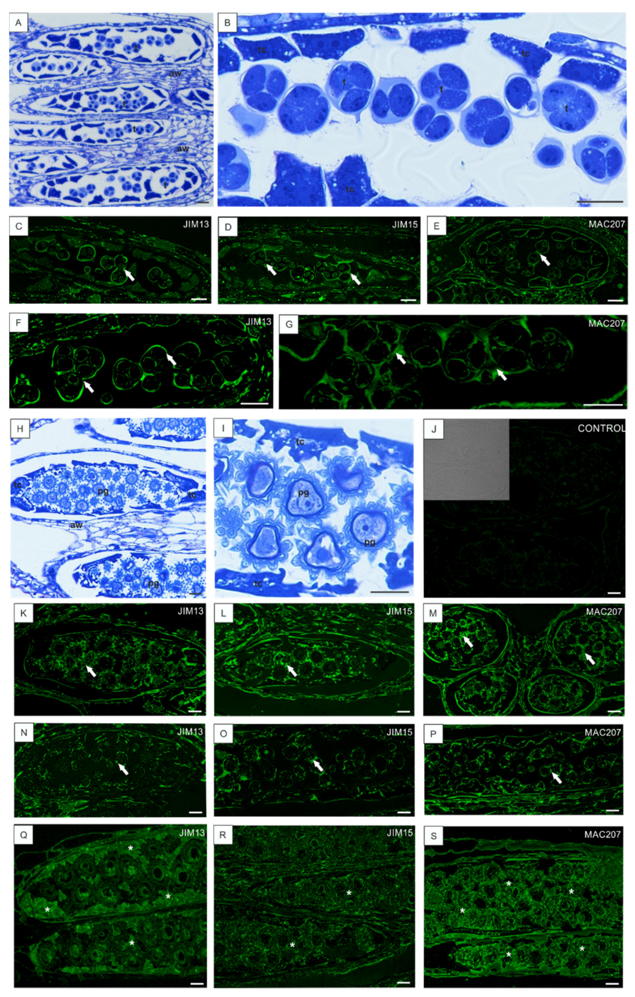 Cells 10 01880 g005 550