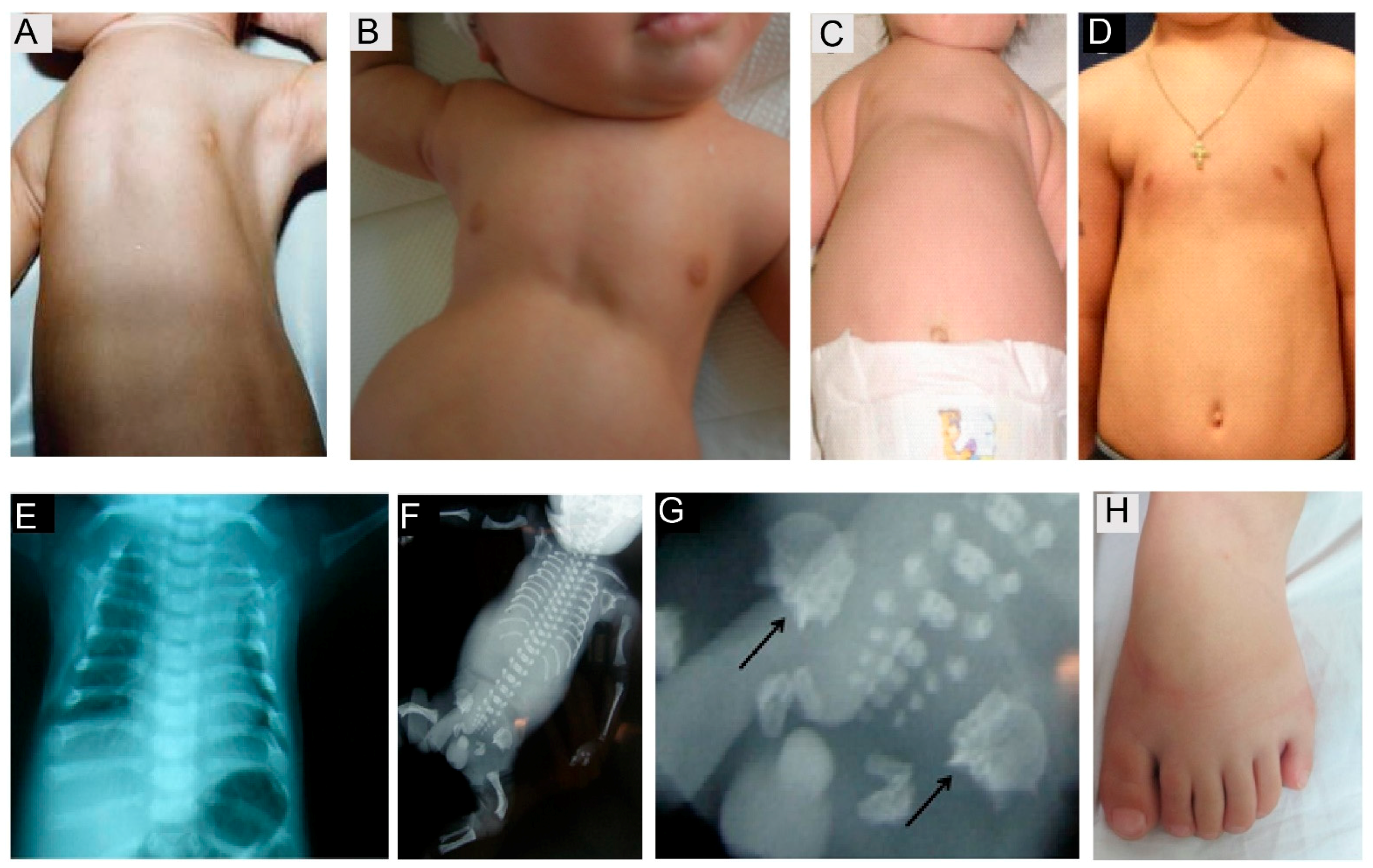 Cells 10 01885 g006 Cells 10 01885 g006