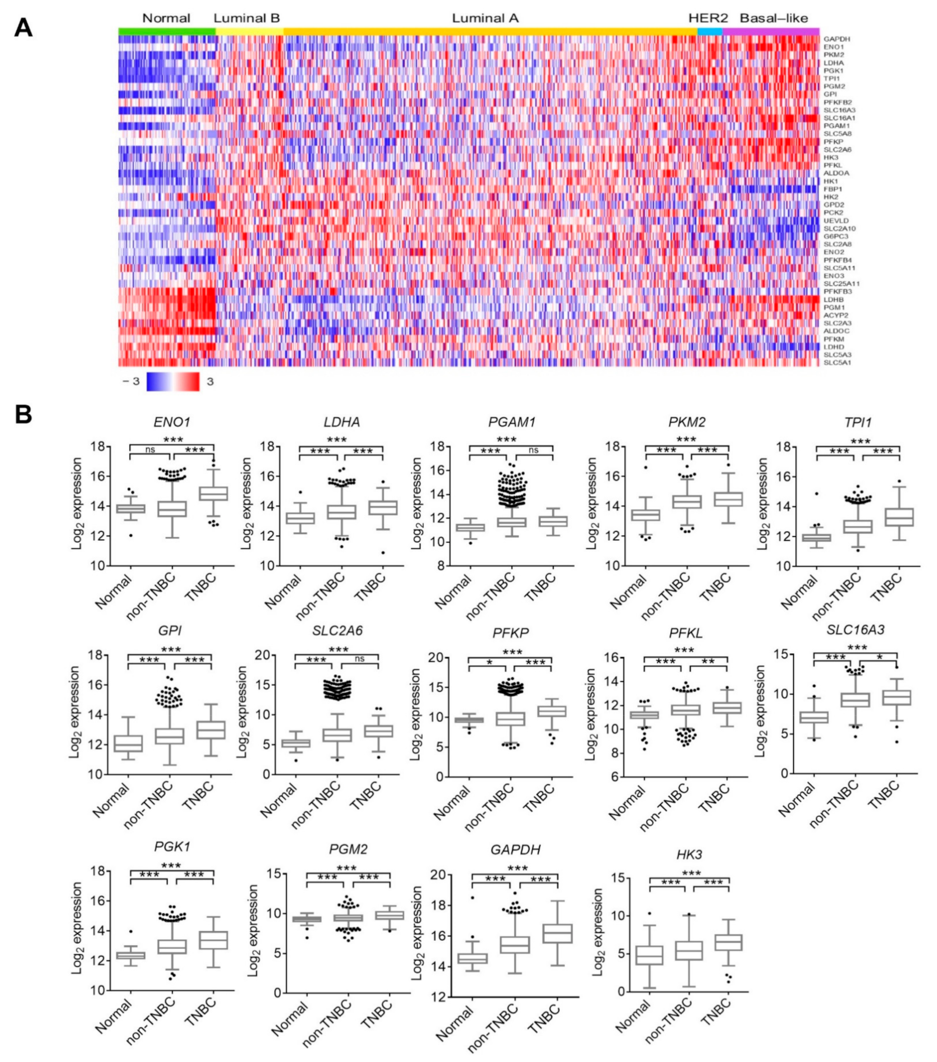Cells 10 01890 g001 Cells 10 01890 g001