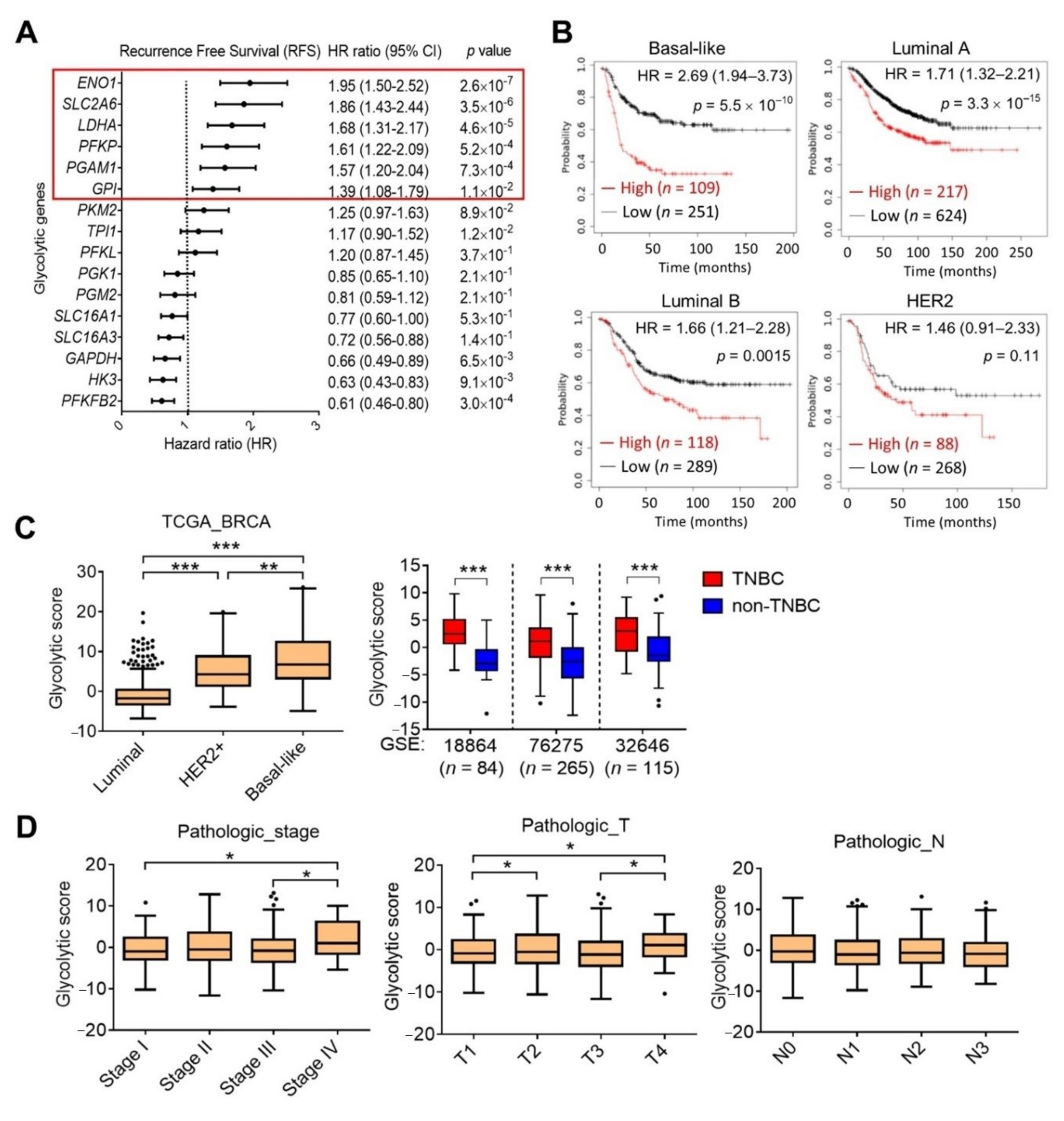 Cells 10 01890 g002 Cells 10 01890 g002