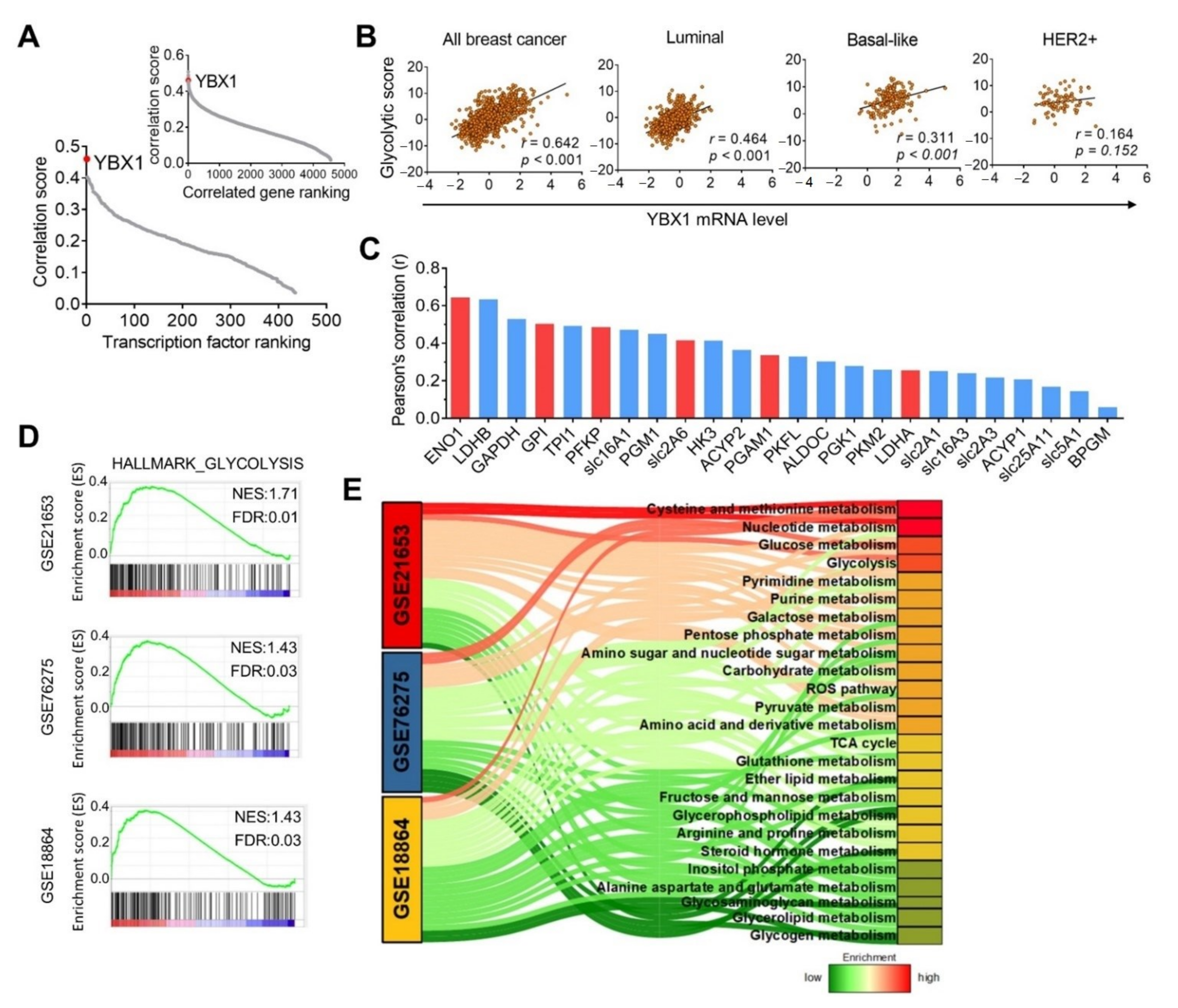 Cells 10 01890 g003 Cells 10 01890 g003