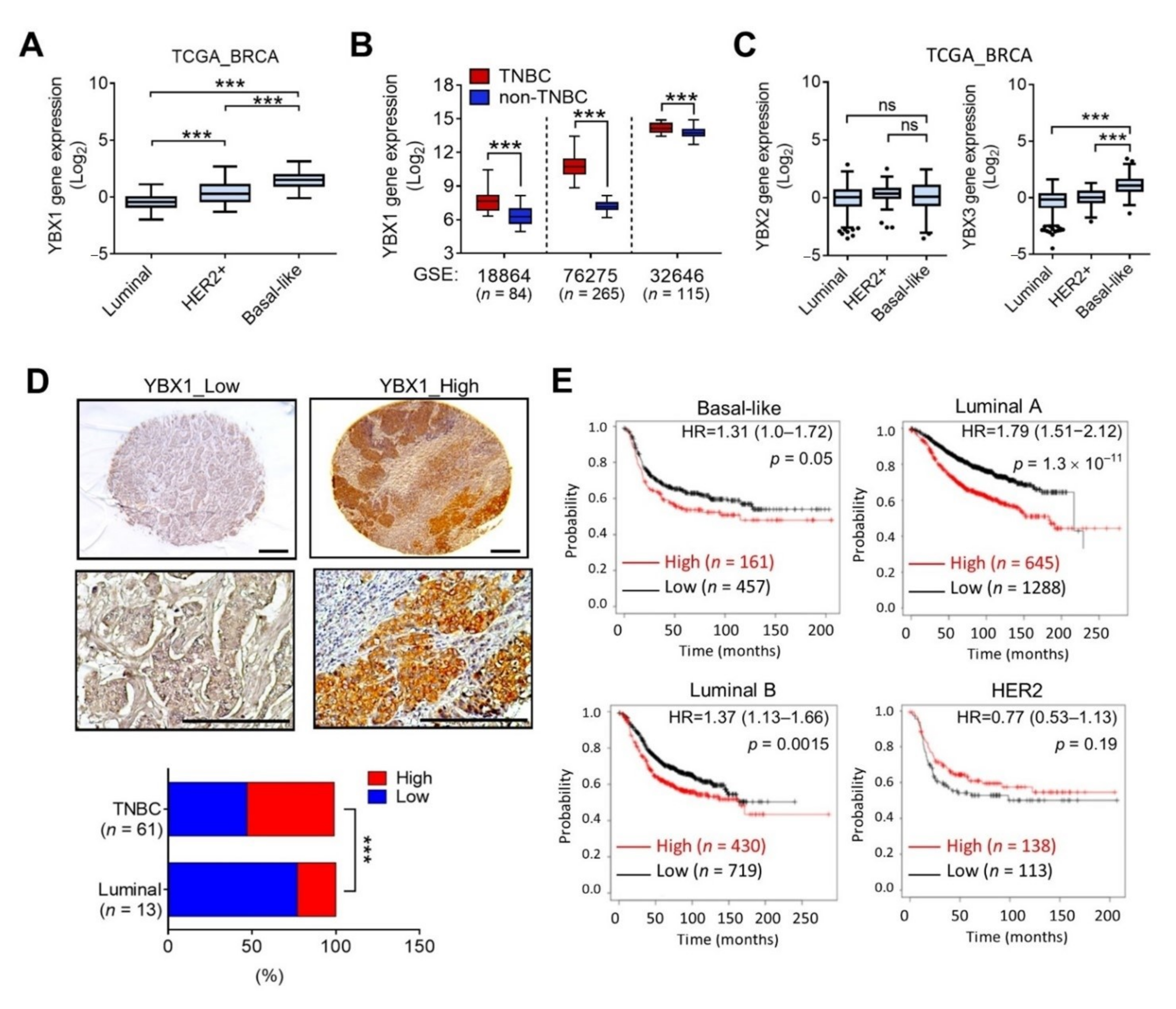 Cells 10 01890 g004 Cells 10 01890 g004