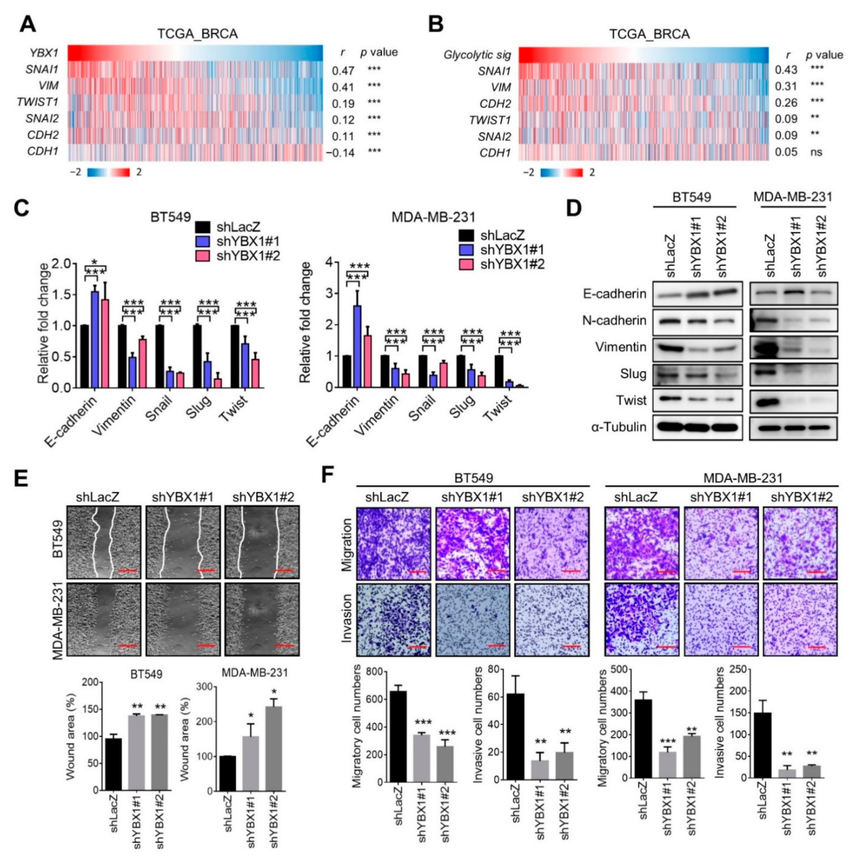 Cells 10 01890 g006 Cells 10 01890 g006