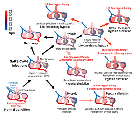 Cells 10 01897 g001 550