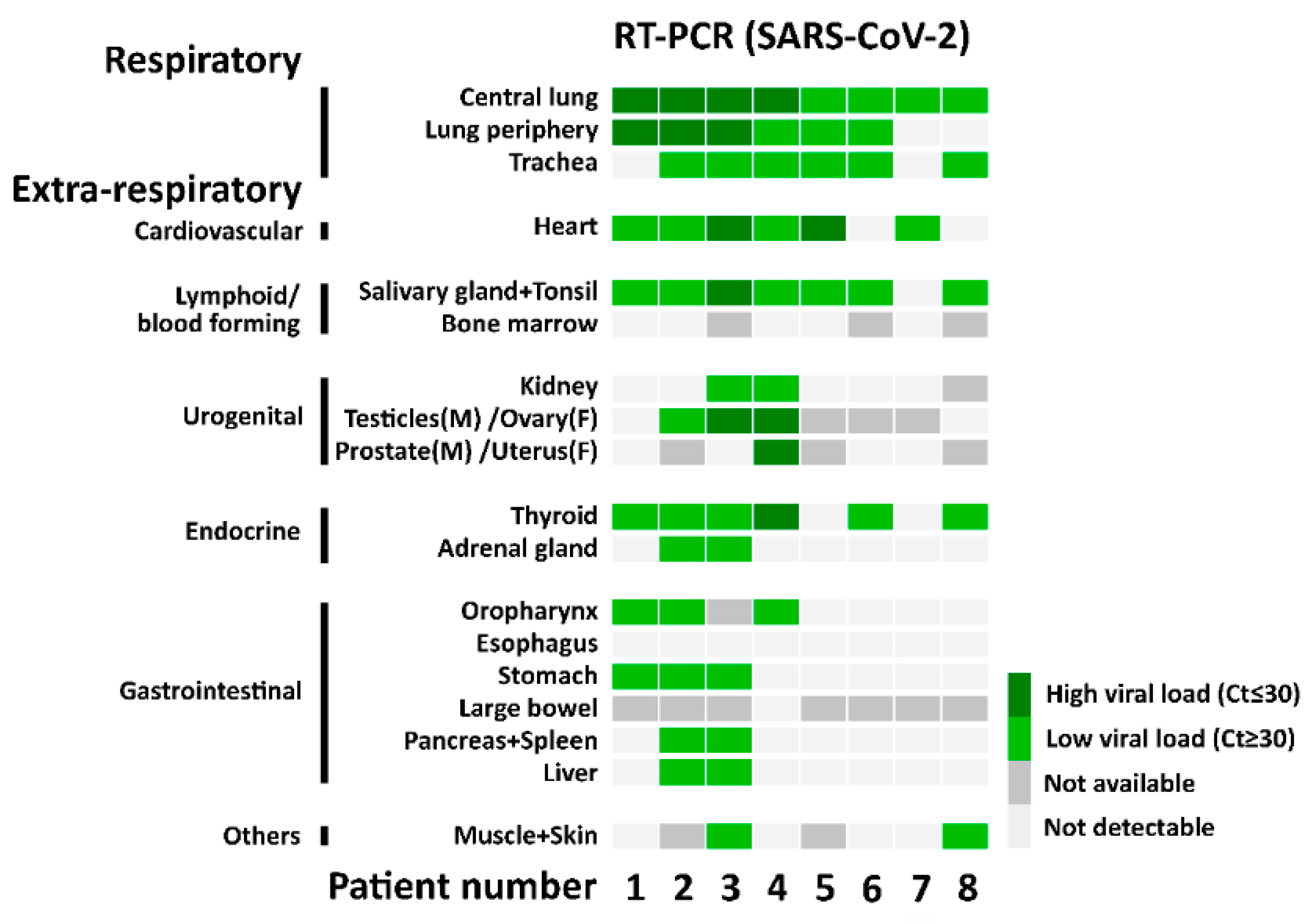 Cells 10 01900 g002 550