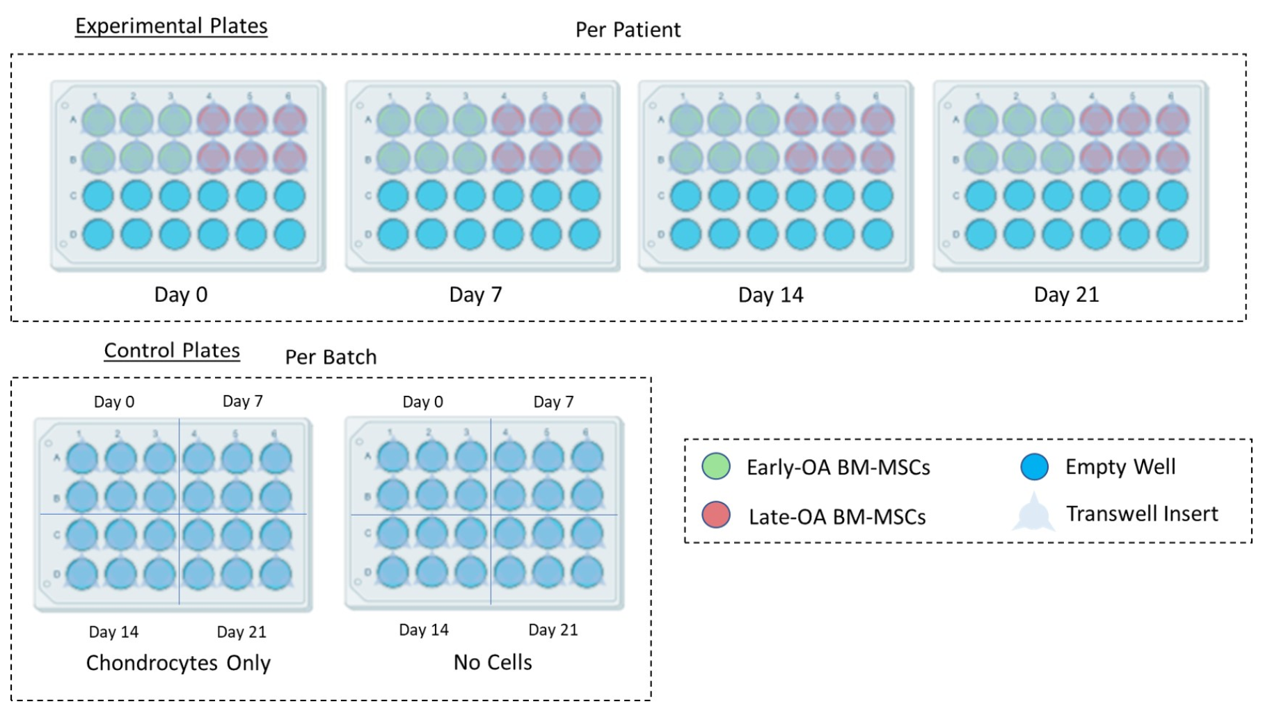 Cells 10 01903 g002 550