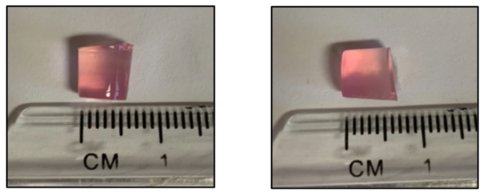 Cells 10 01903 g006 550