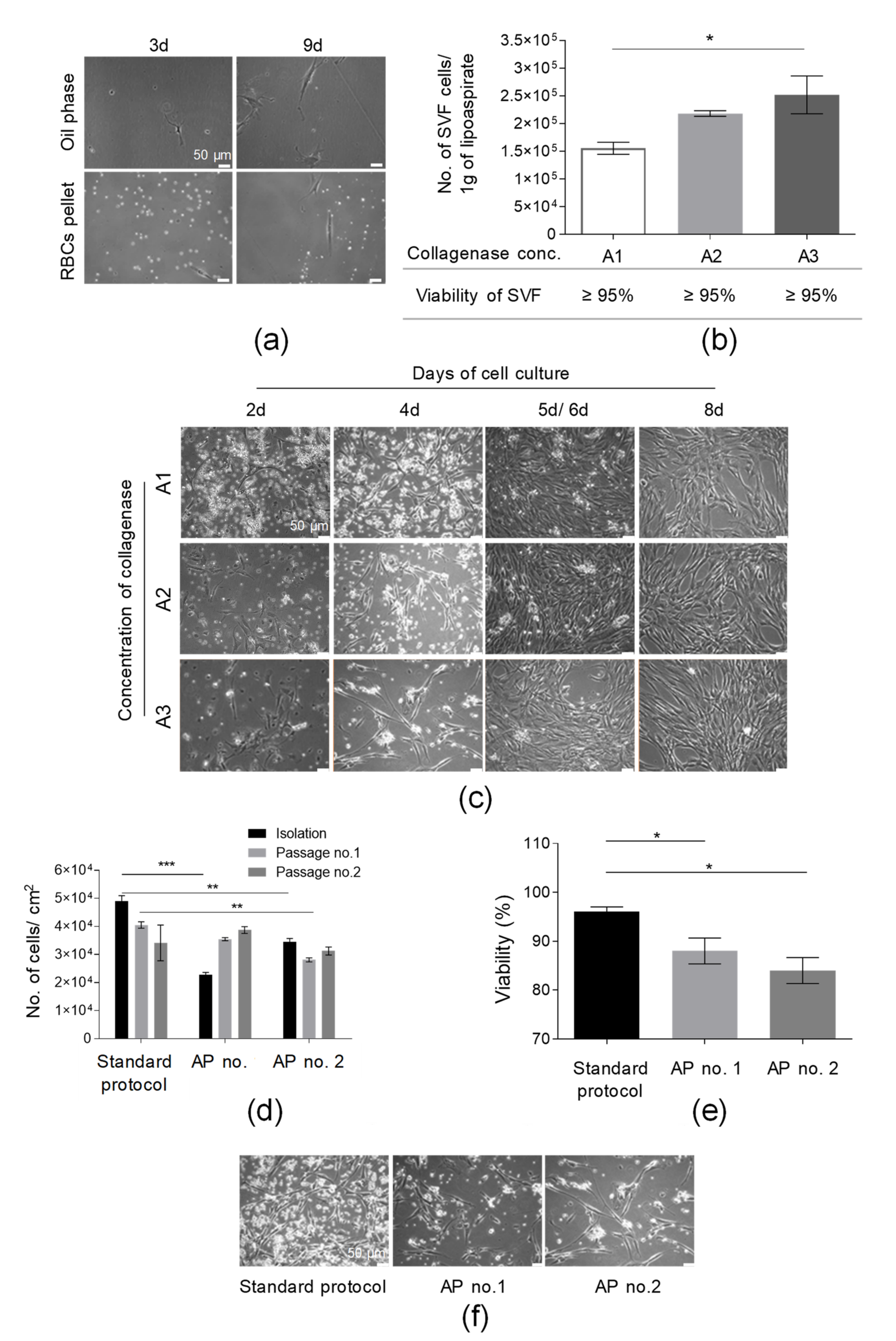 Cells 10 01908 g002 550