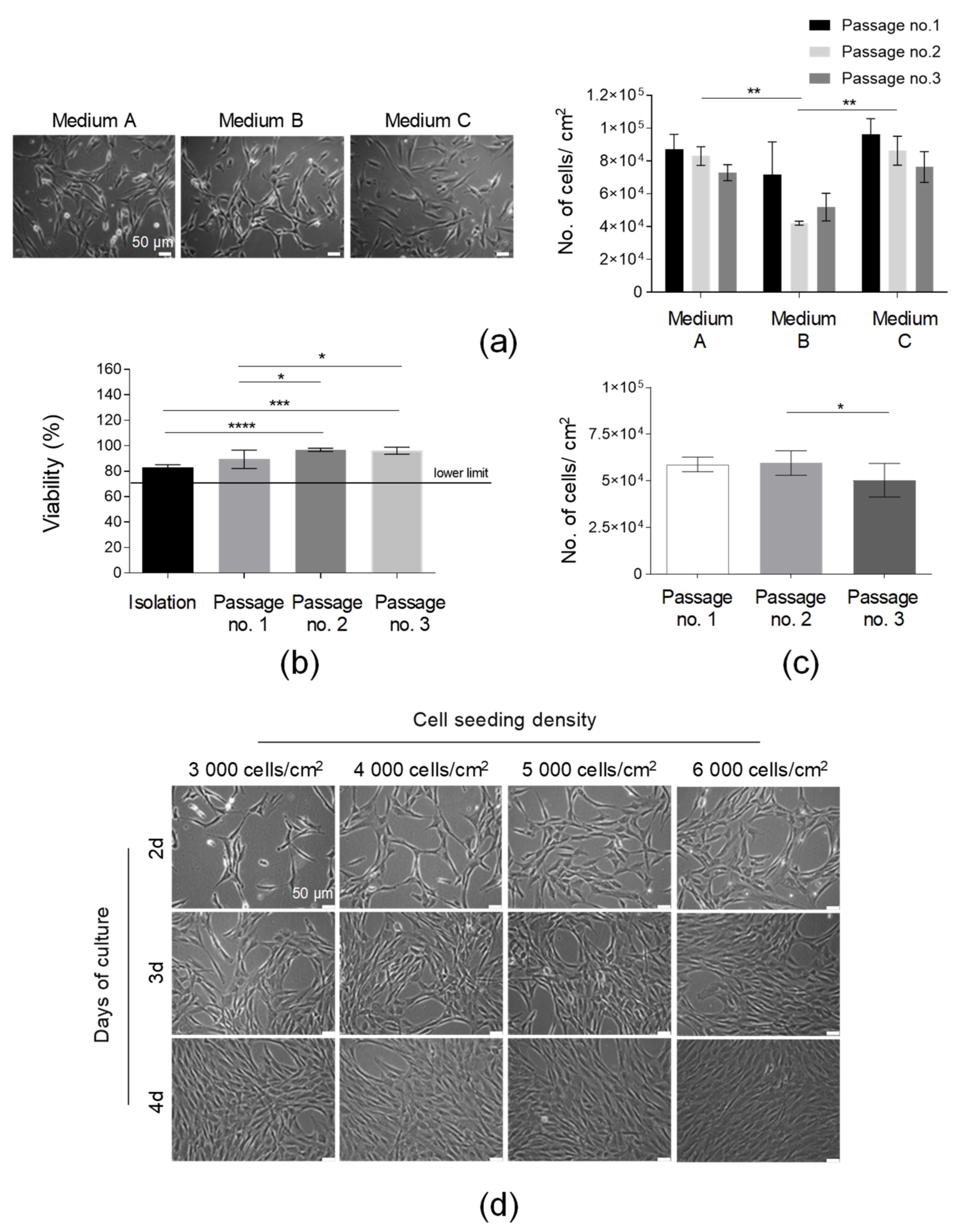 Cells 10 01908 g003 550
