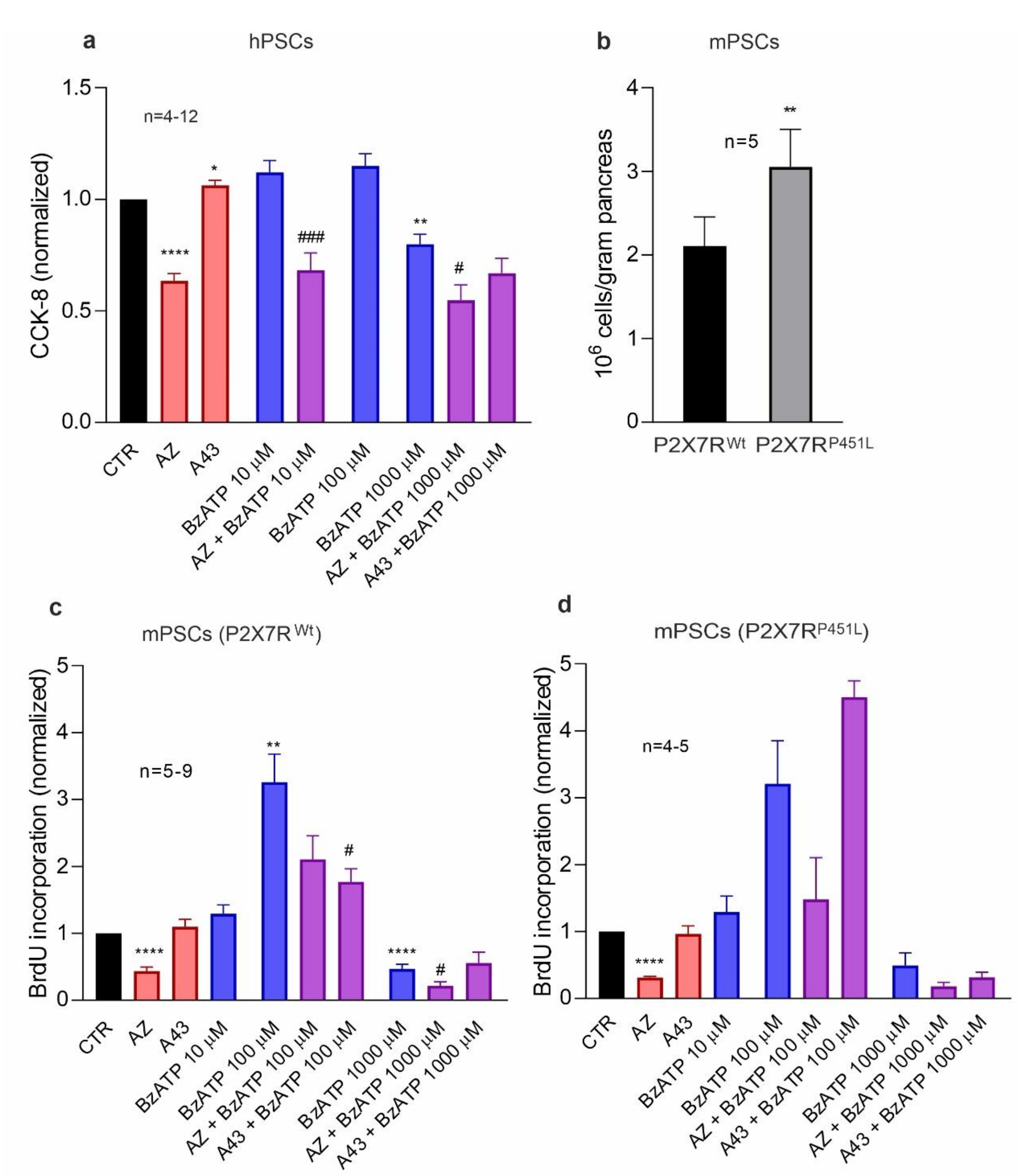 Cells 10 01928 g002 Cells 10 01928 g002
