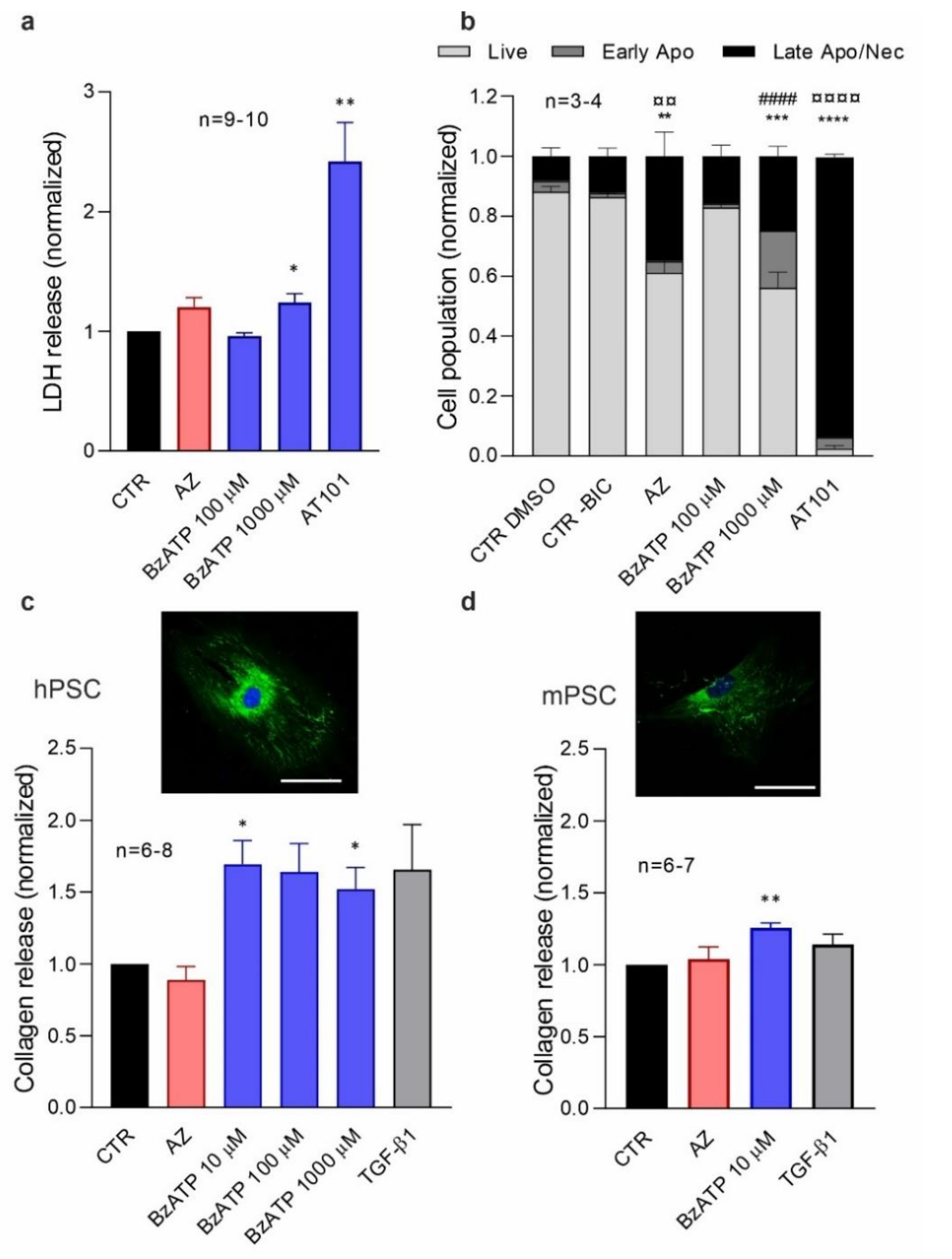 Cells 10 01928 g003 Cells 10 01928 g003