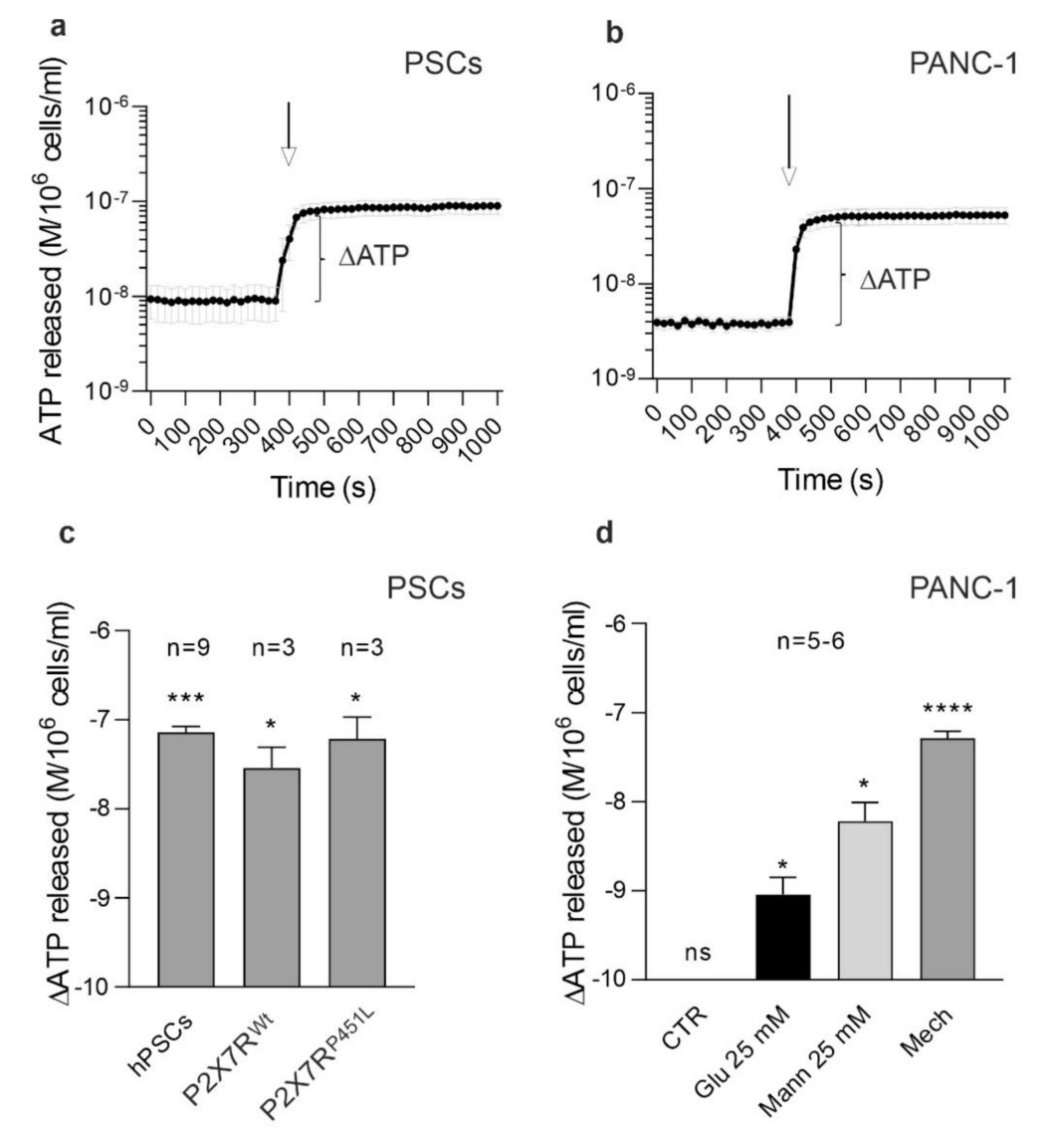 Cells 10 01928 g006 Cells 10 01928 g006
