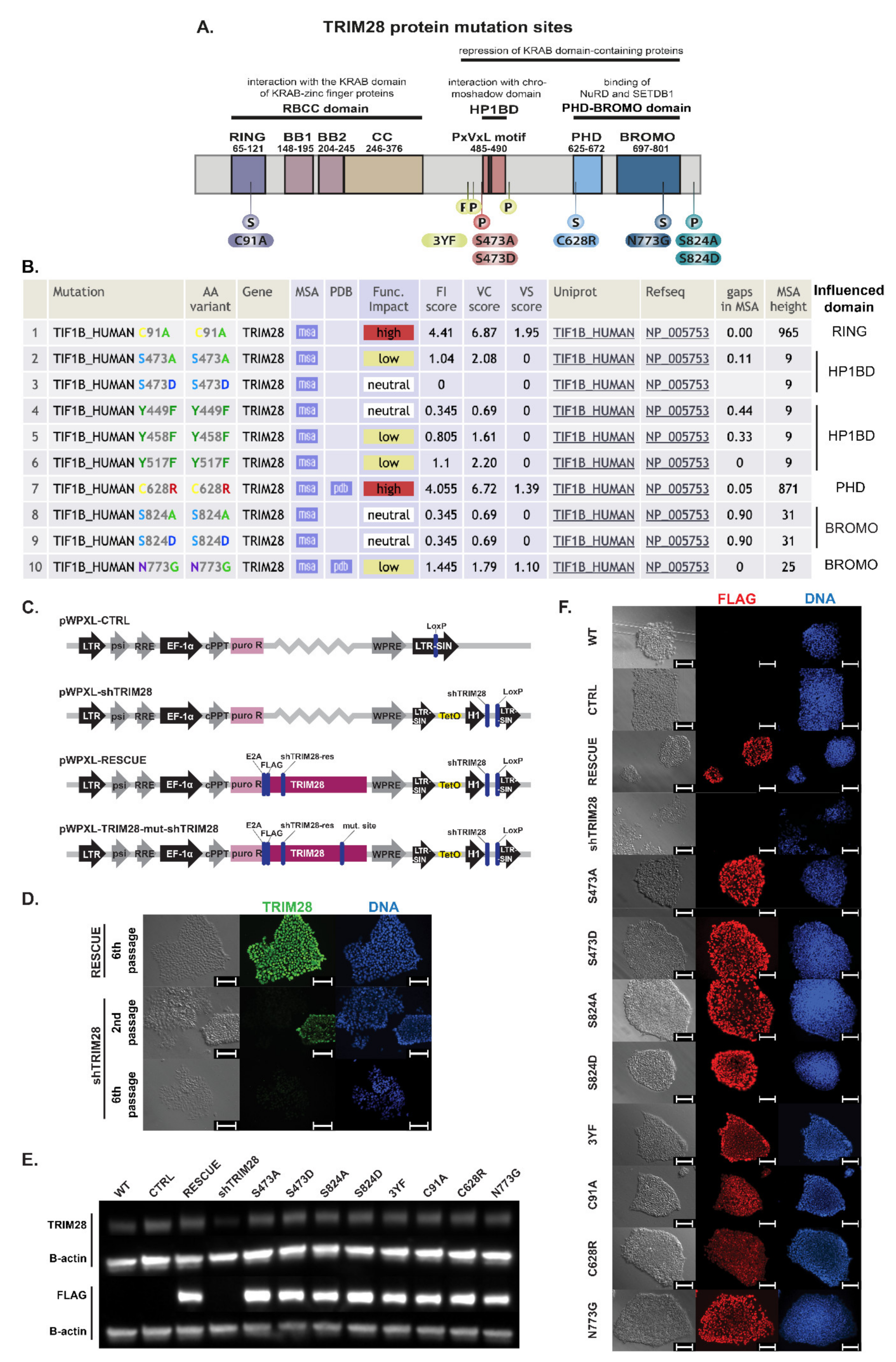 Cells 10 01933 g003 Cells 10 01933 g003