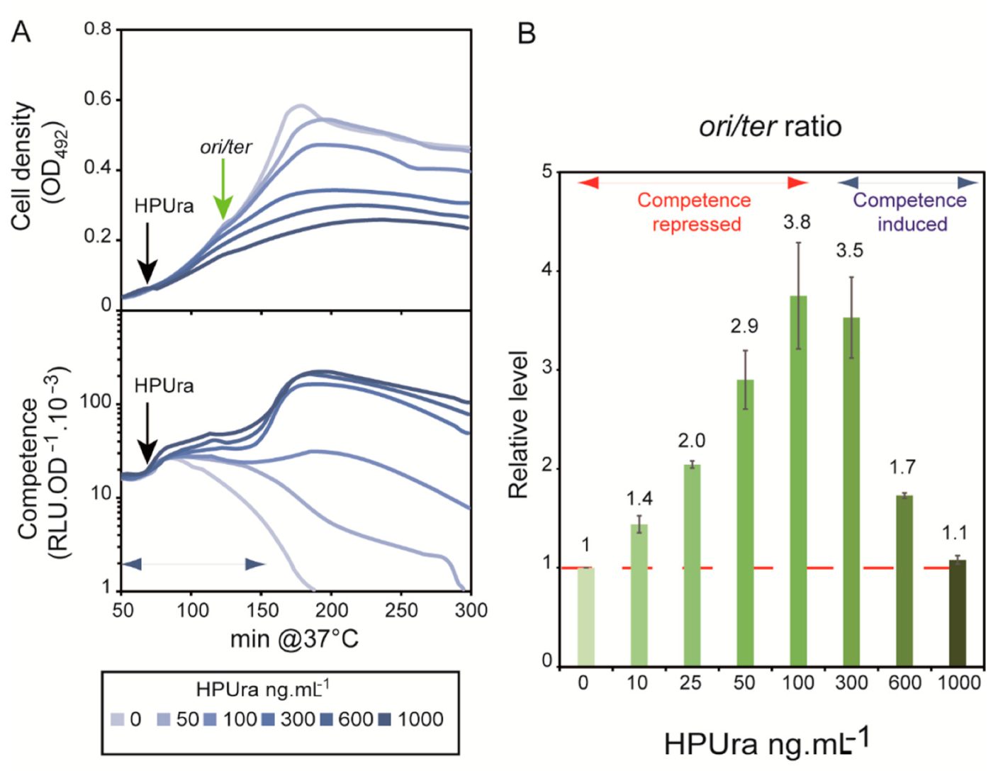 Cells 10 01938 g003 Cells 10 01938 g003