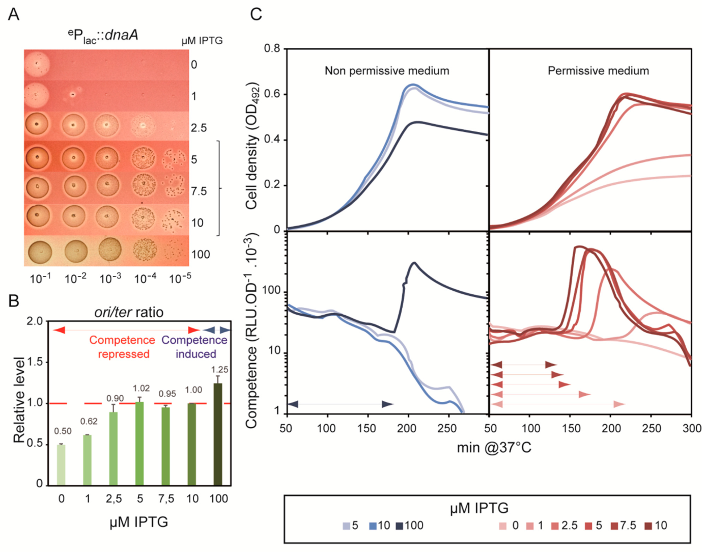 Cells 10 01938 g004 Cells 10 01938 g004