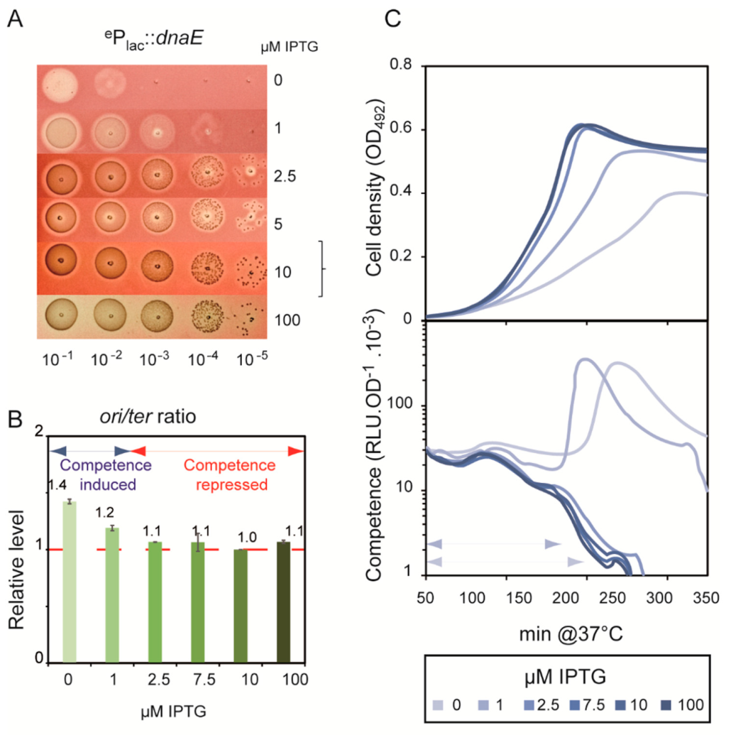 Cells 10 01938 g005 Cells 10 01938 g005