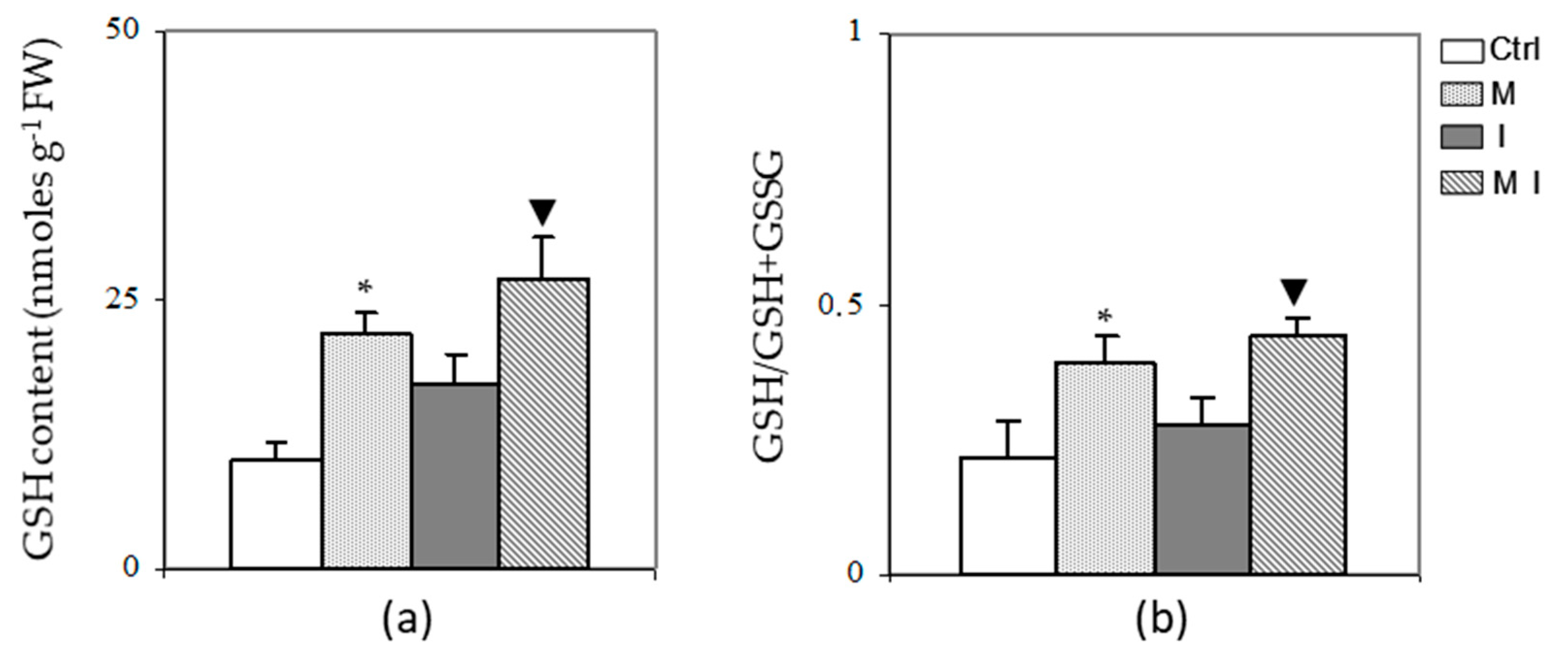Cells 10 01944 g002 Cells 10 01944 g002
