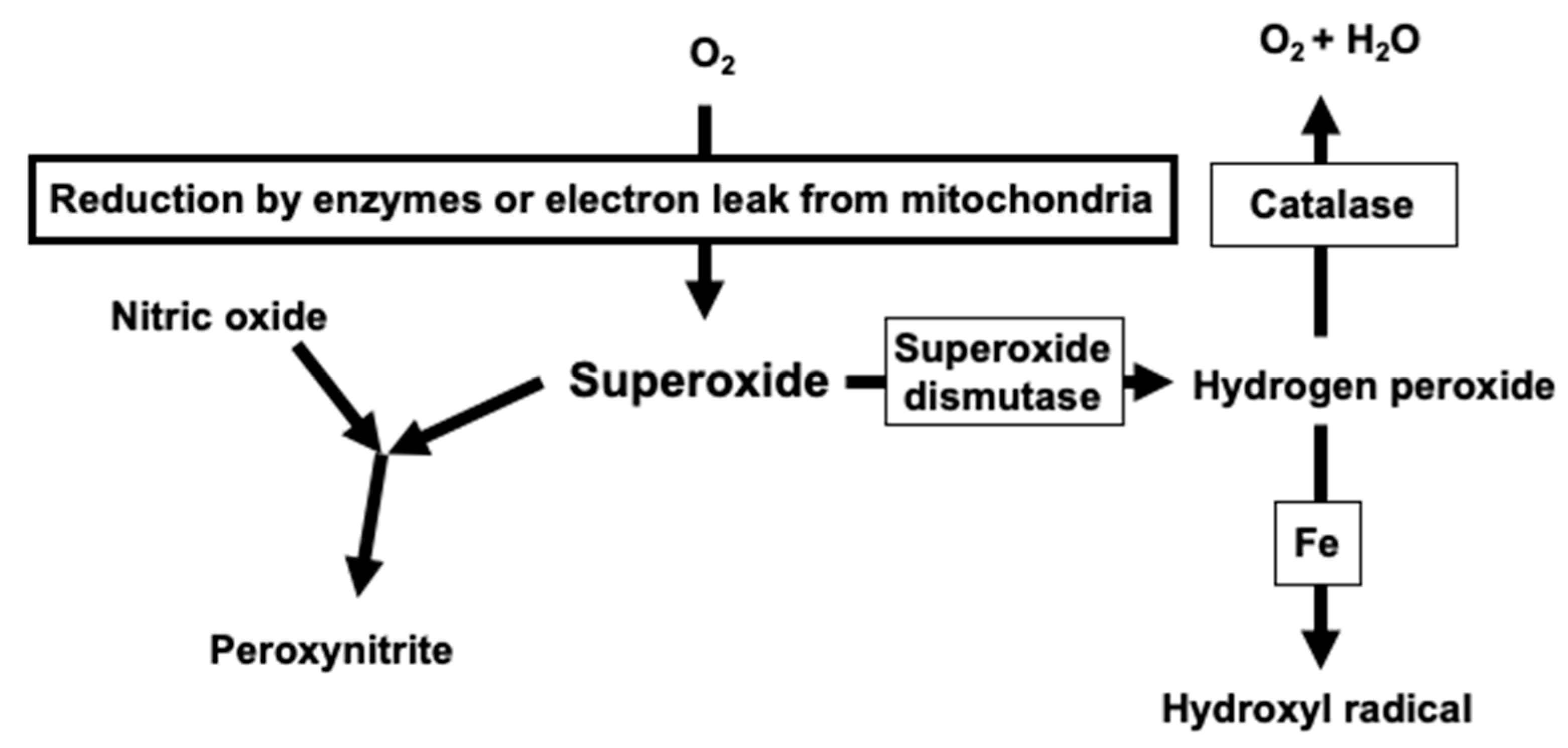 Cells 10 01947 g001 Cells 10 01947 g001