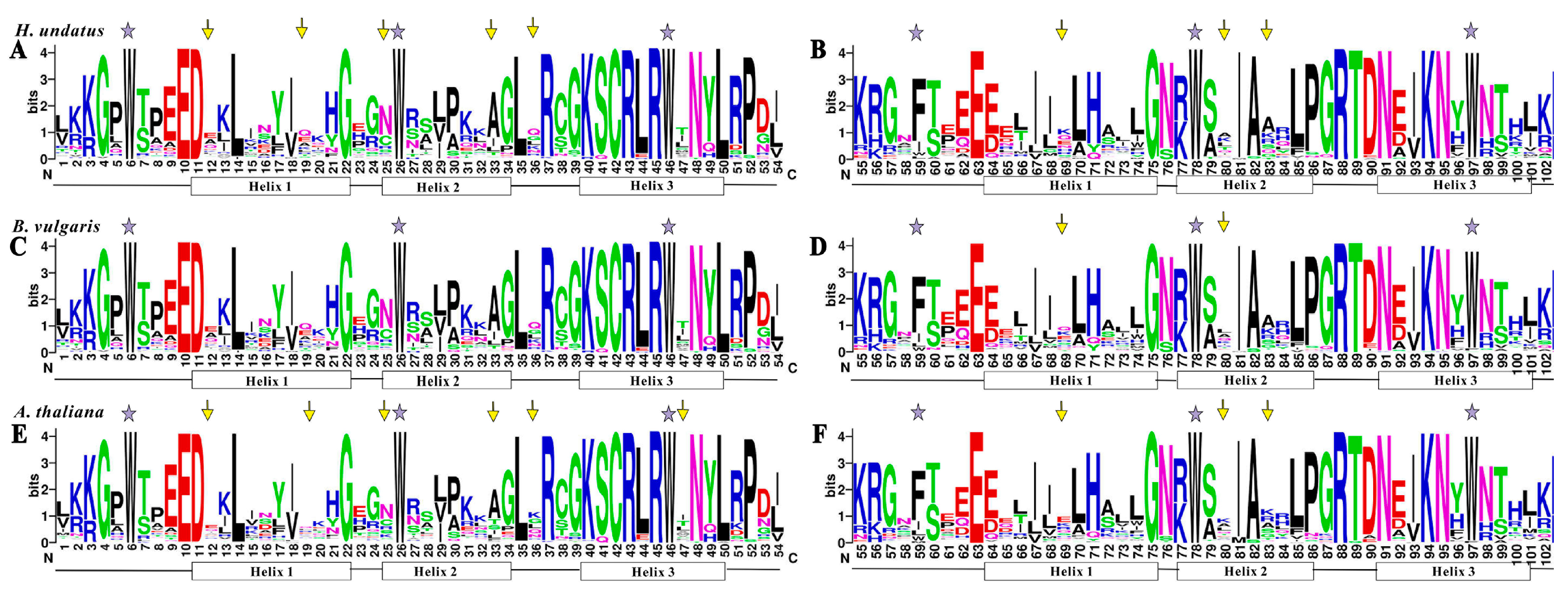 Cells 10 01949 g001 550