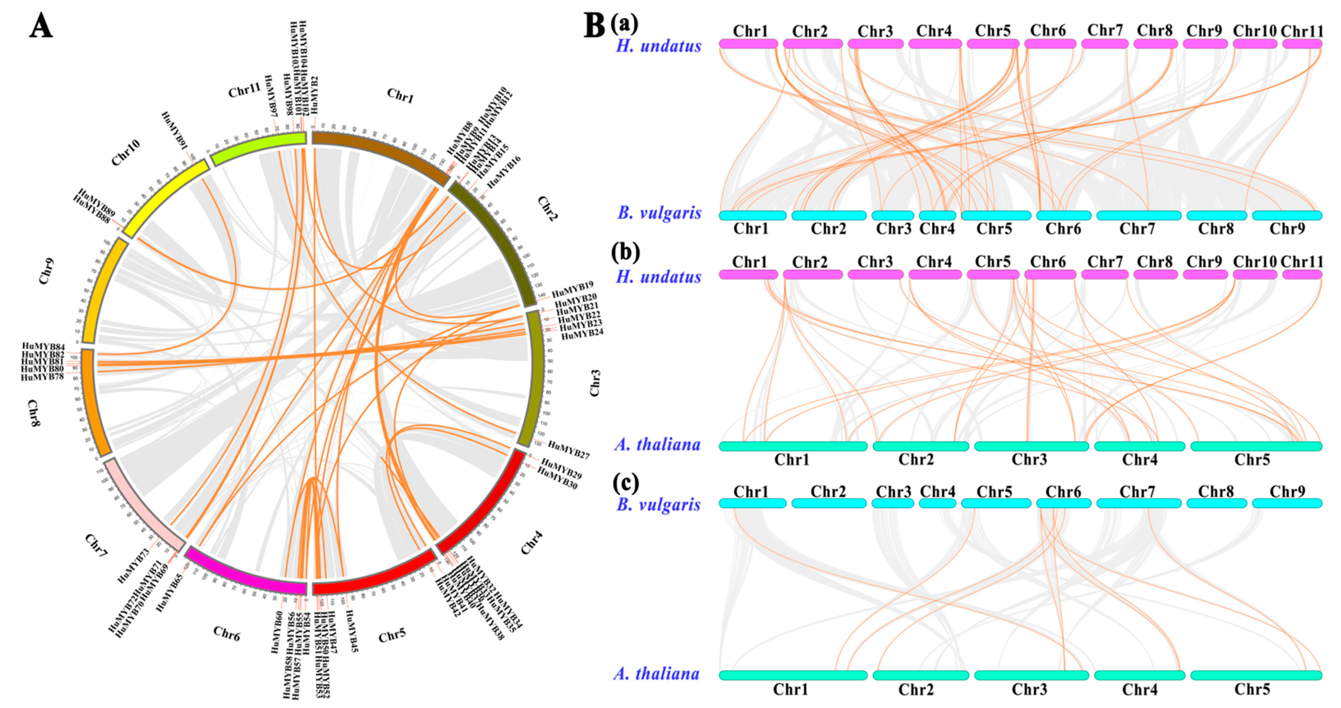 Cells 10 01949 g003 550