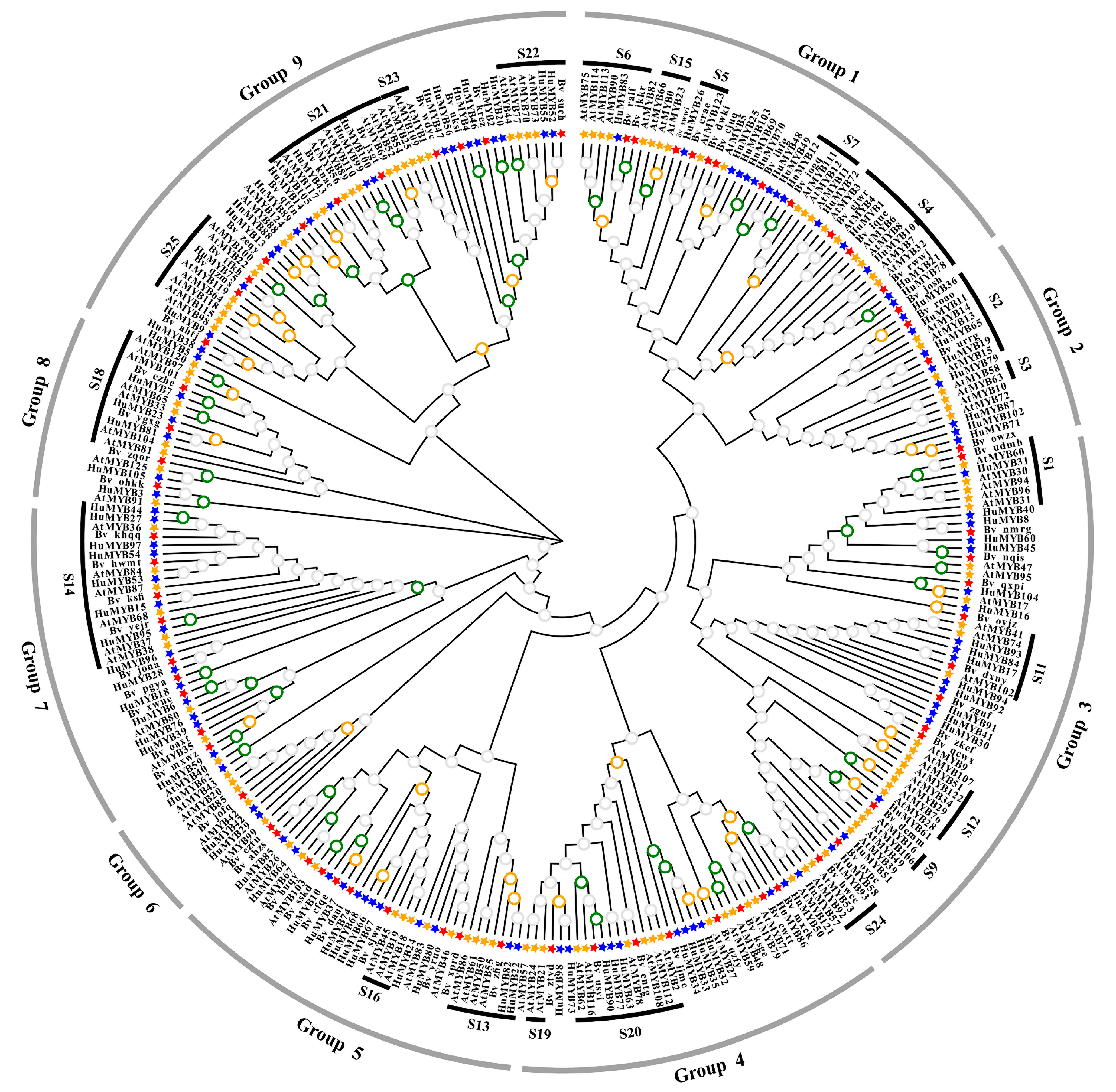 Cells 10 01949 g004 550