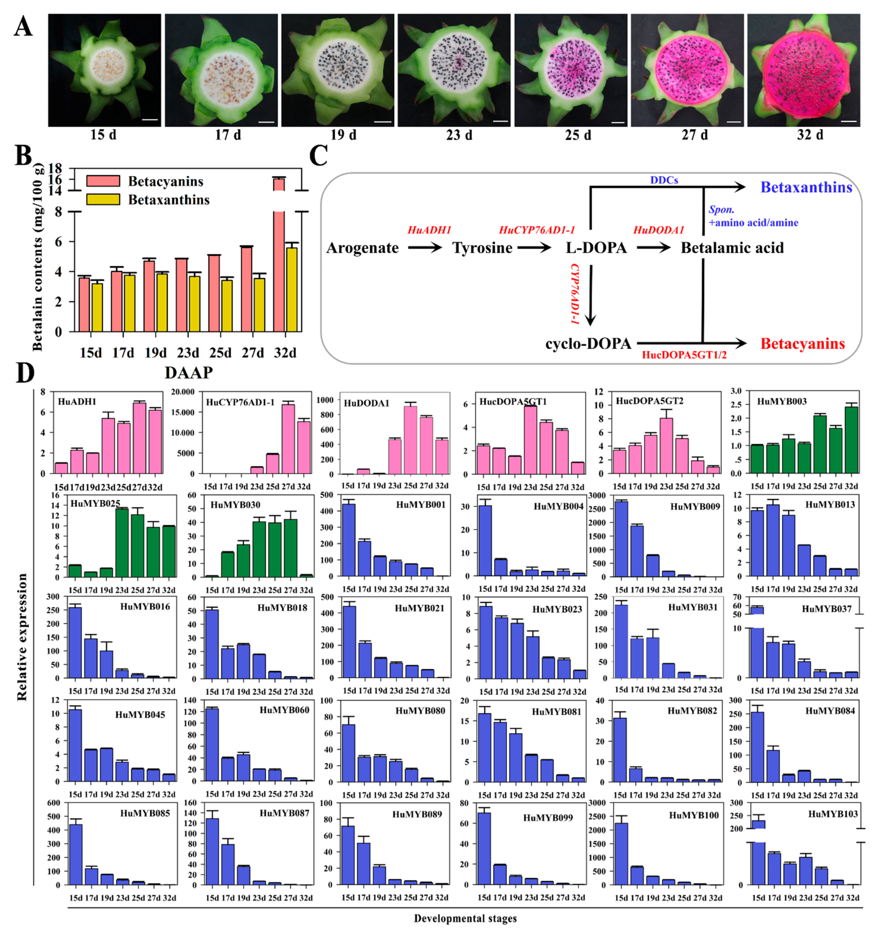 Cells 10 01949 g006 550