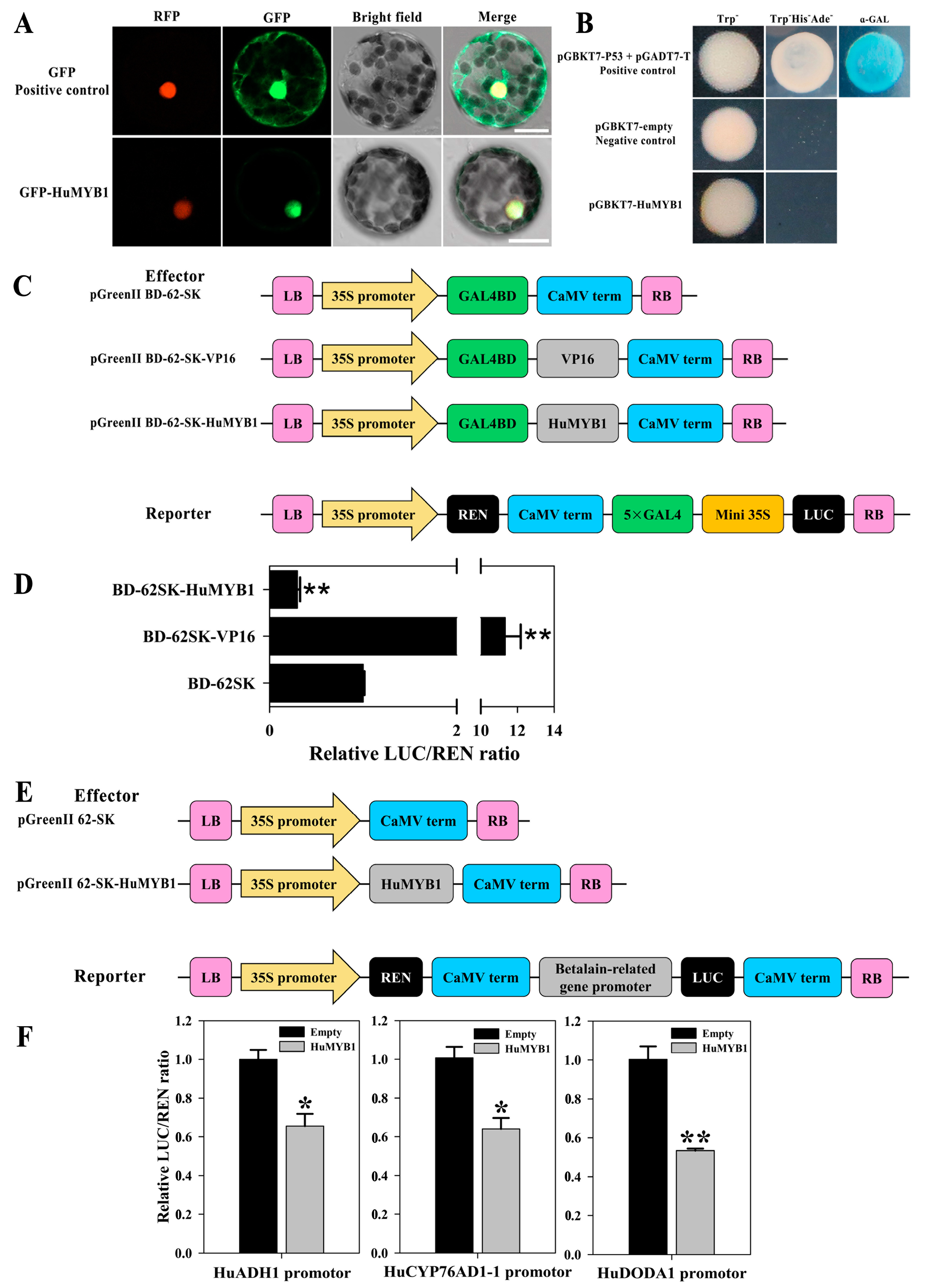 Cells 10 01949 g008 550