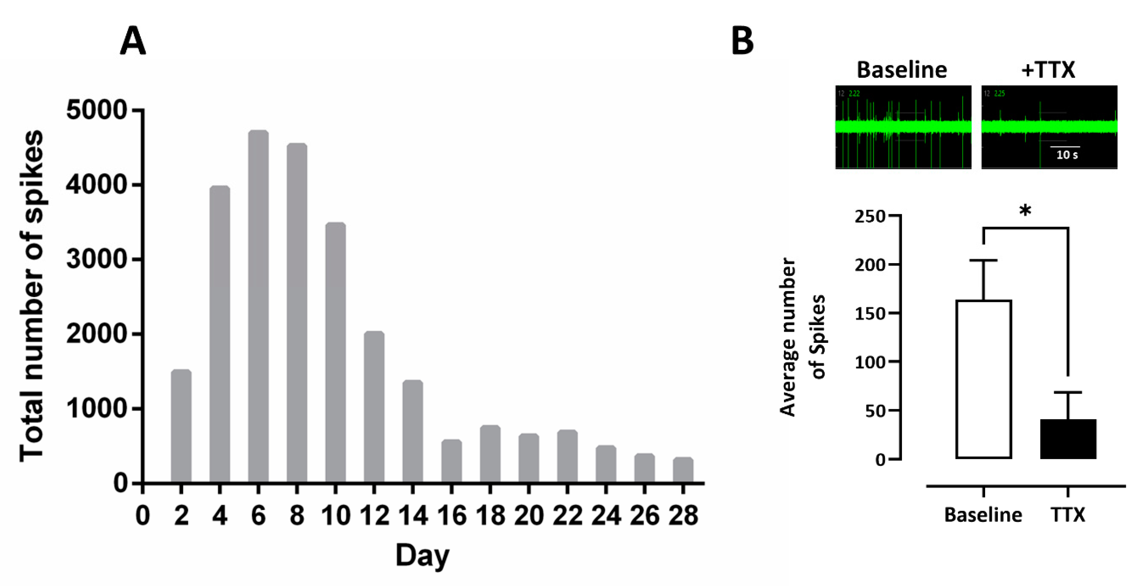 Cells 10 01953 g003 Cells 10 01953 g003