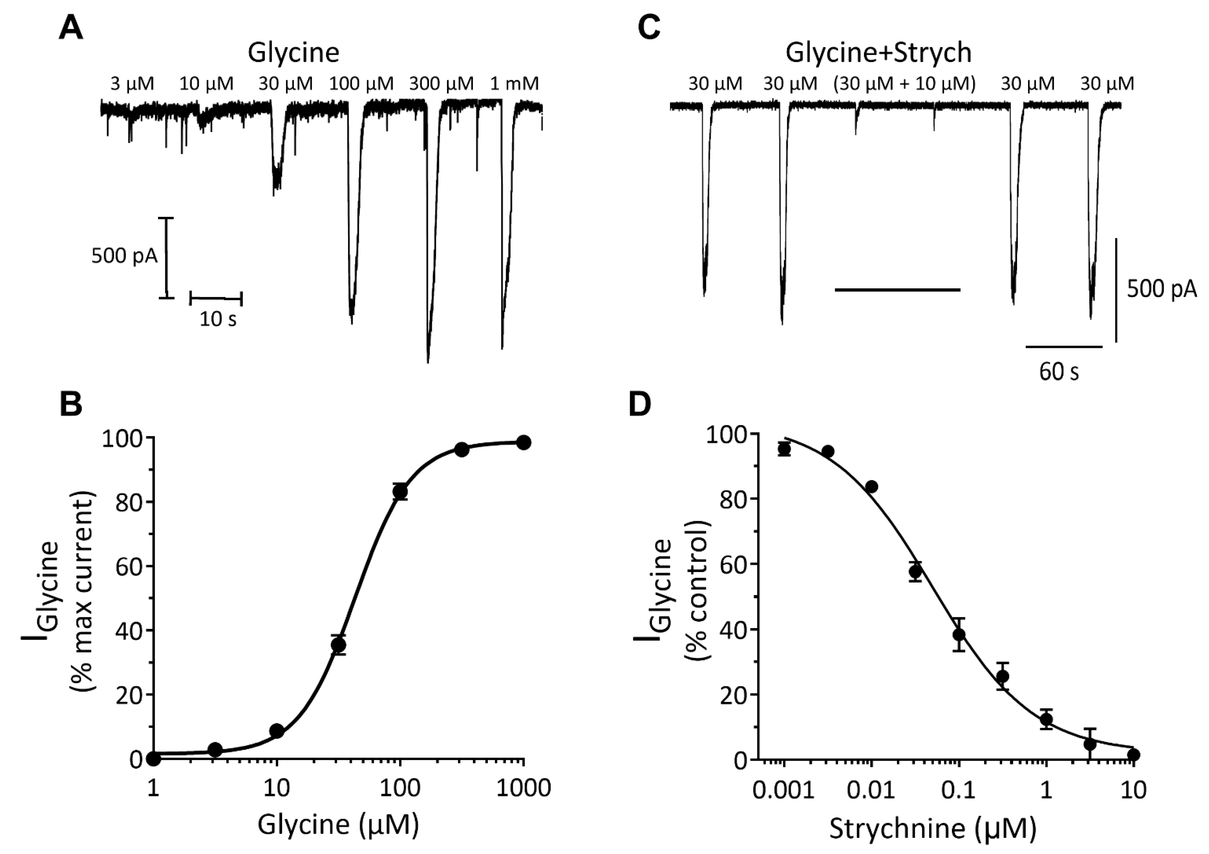 Cells 10 01953 g007 Cells 10 01953 g007