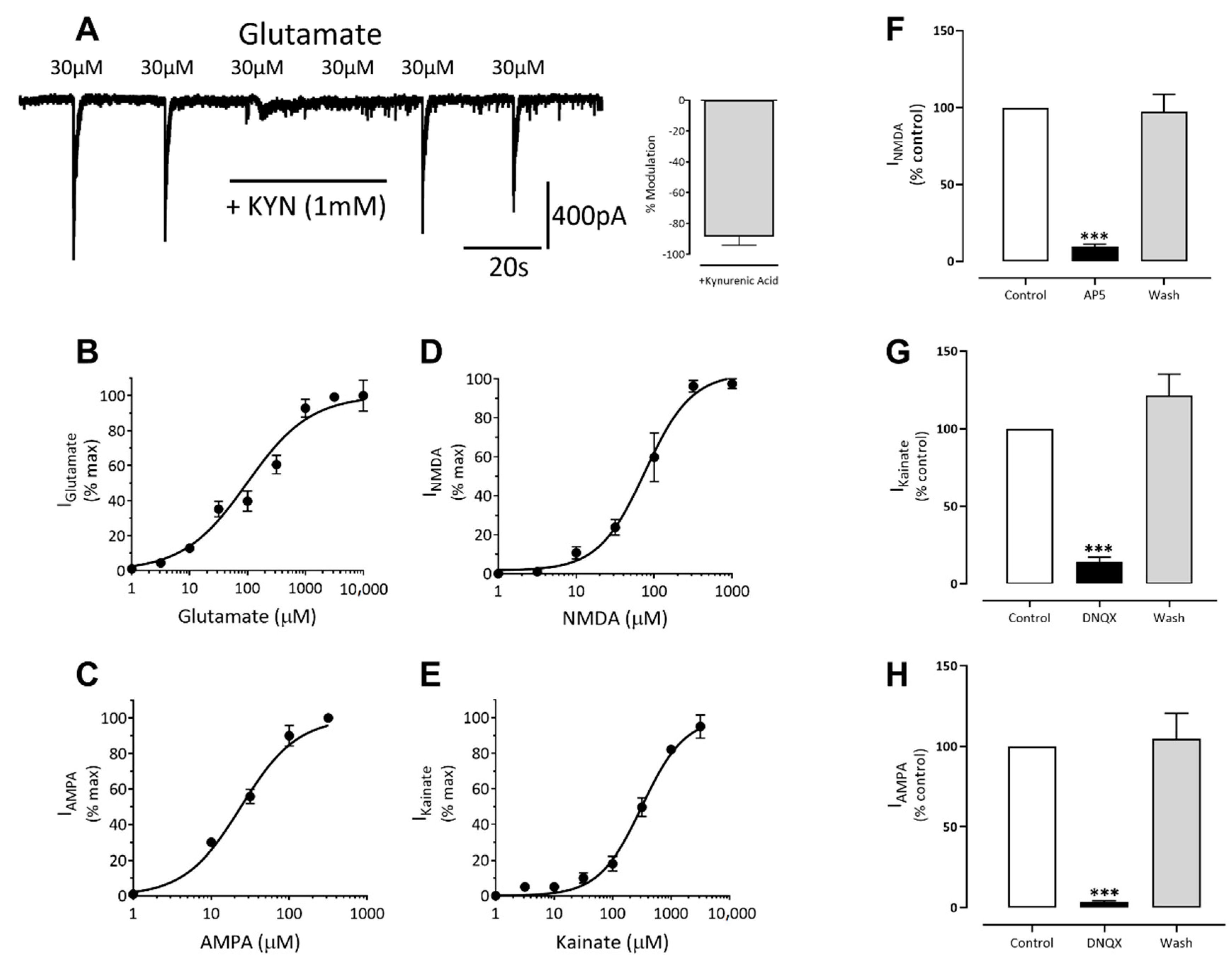 Cells 10 01953 g008 Cells 10 01953 g008