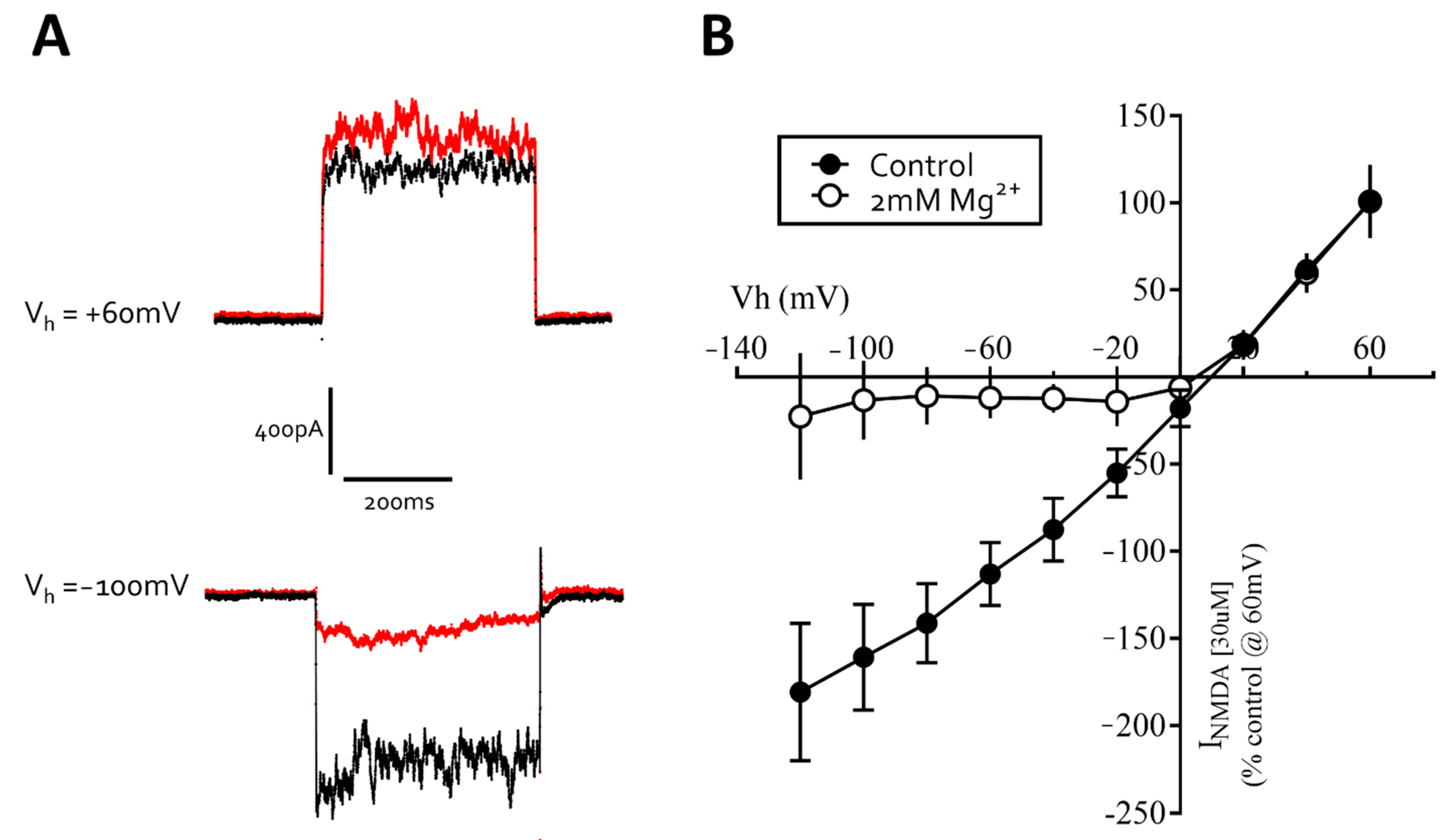 Cells 10 01953 g009 Cells 10 01953 g009
