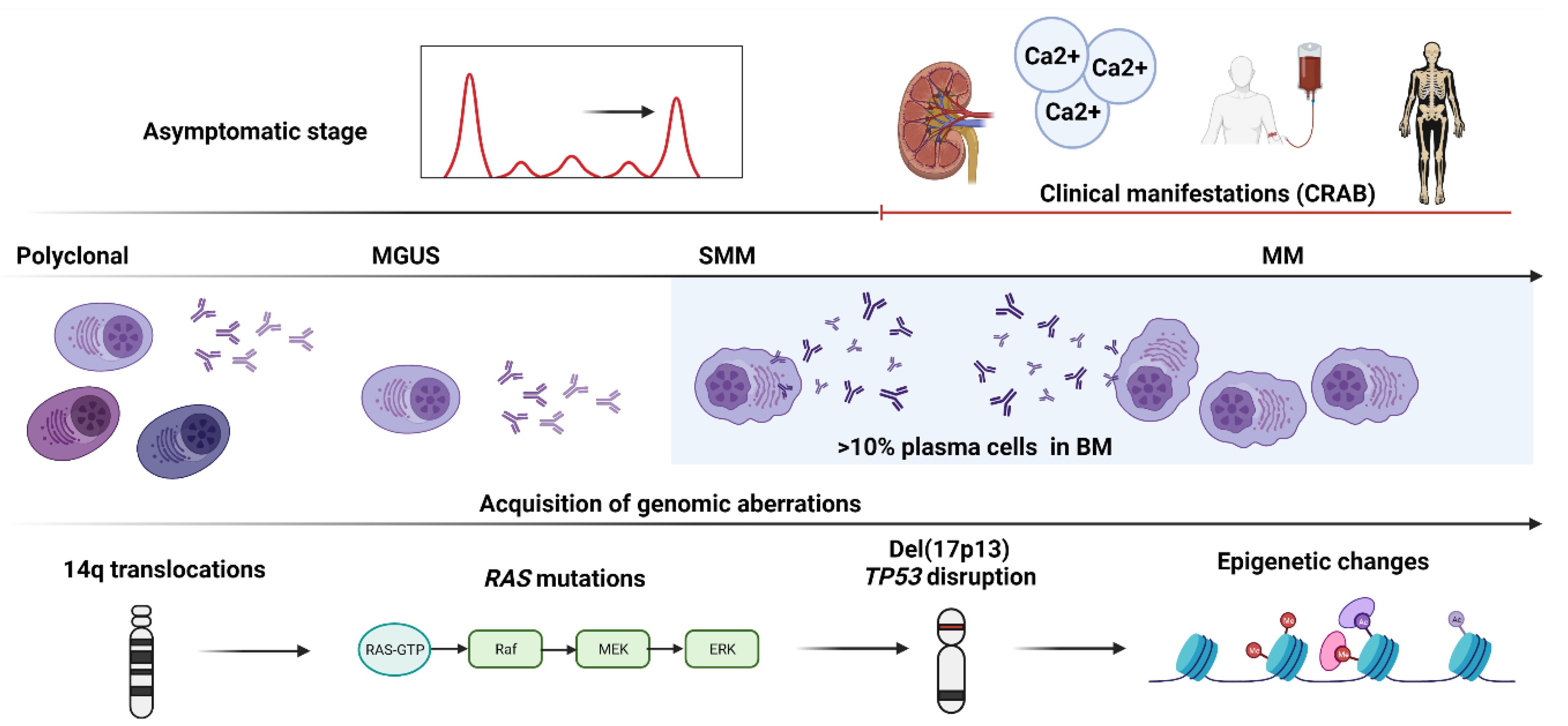 Cells 10 01961 g003 Cells 10 01961 g003