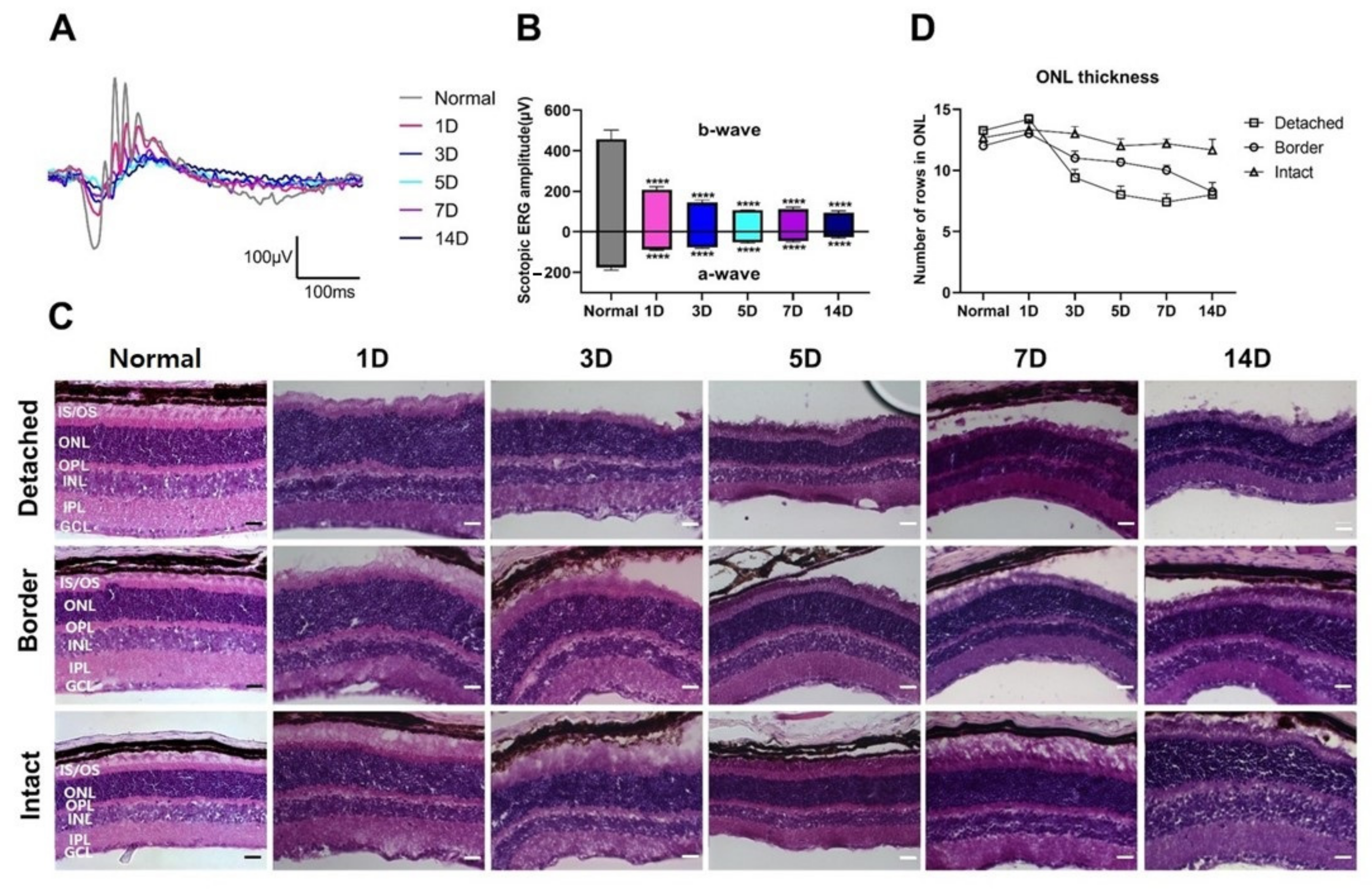 Cells 10 01972 g001 550