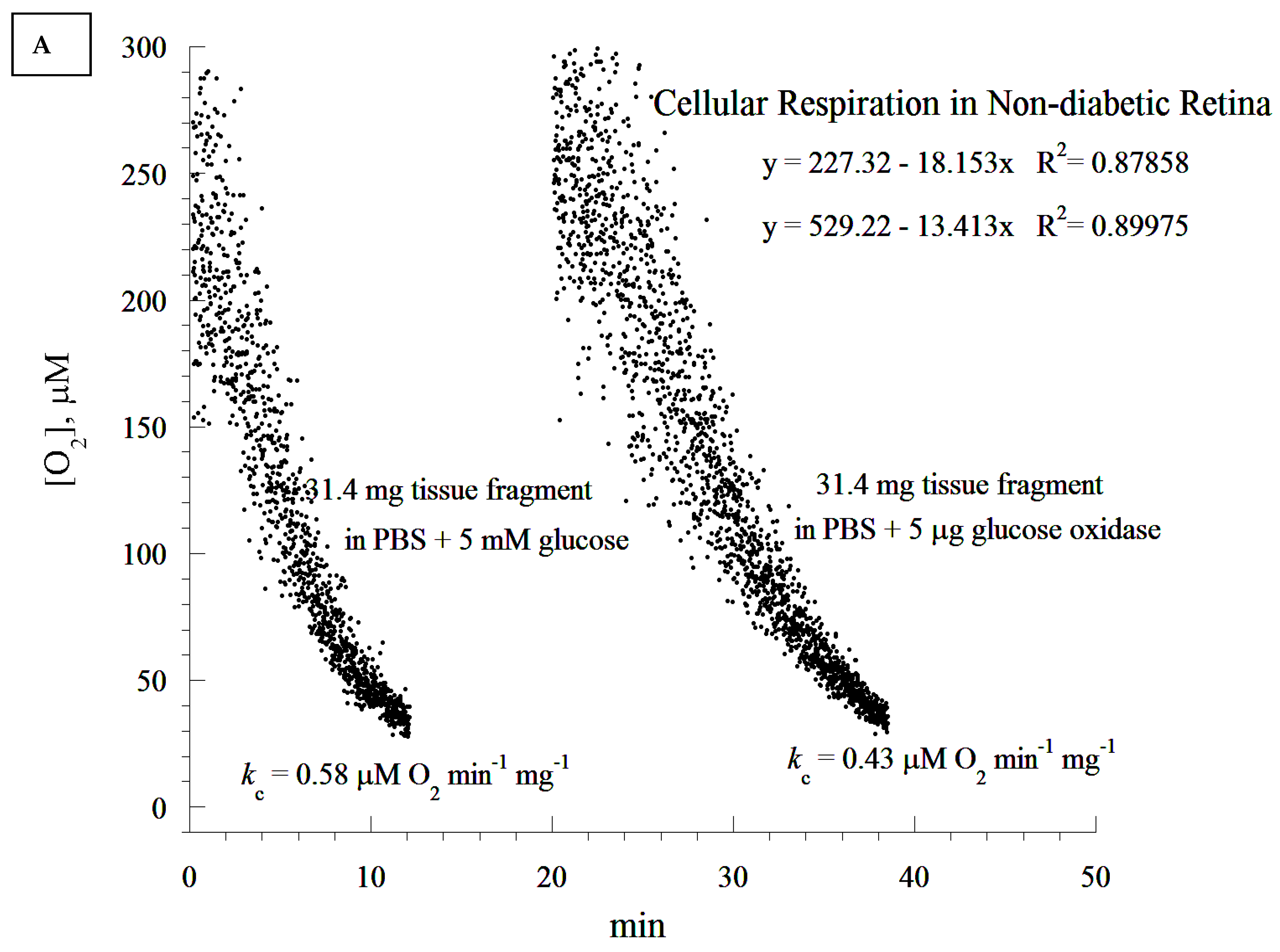 Cells 10 01981 g004a 550