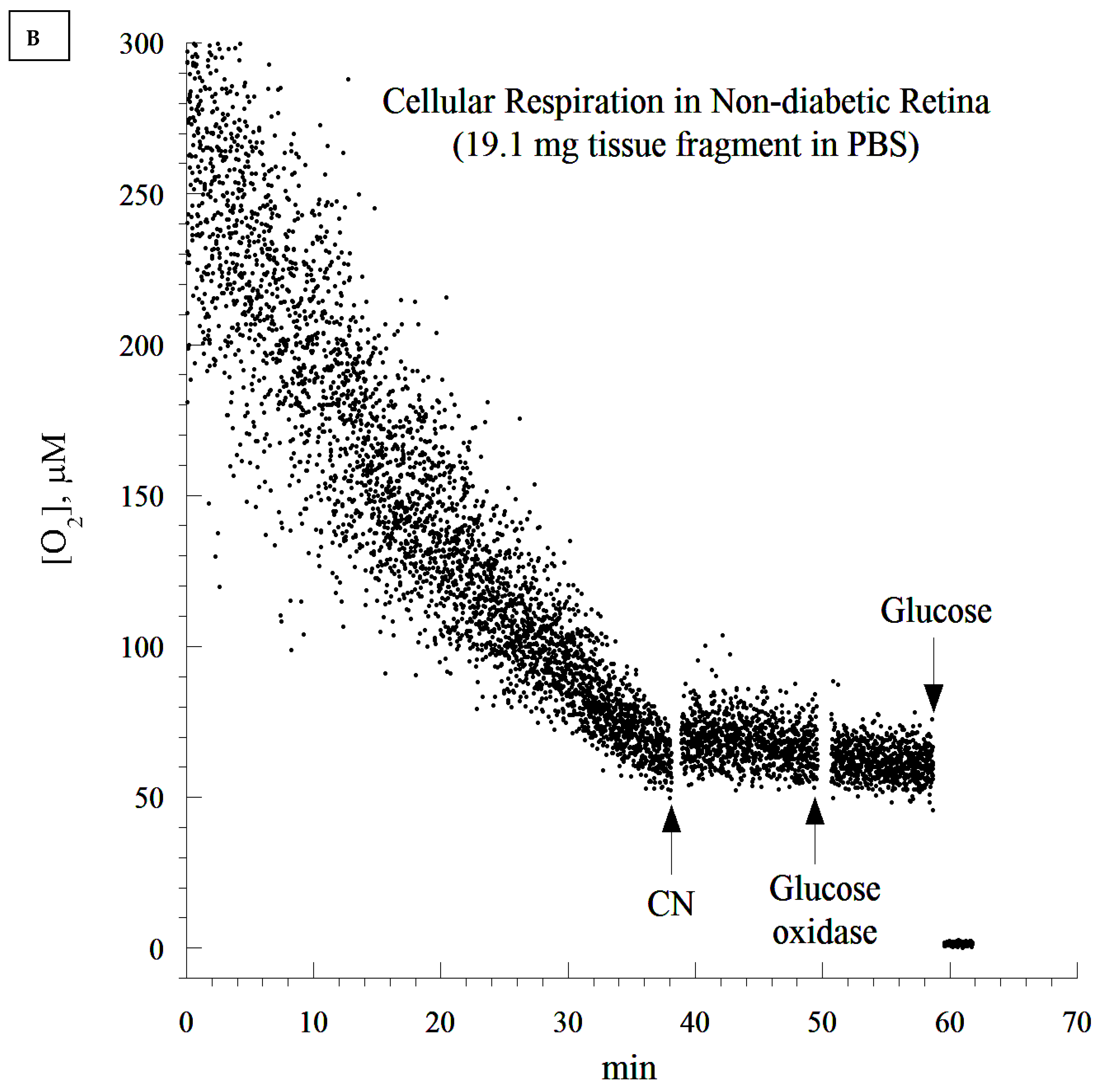 Cells 10 01981 g004b 550
