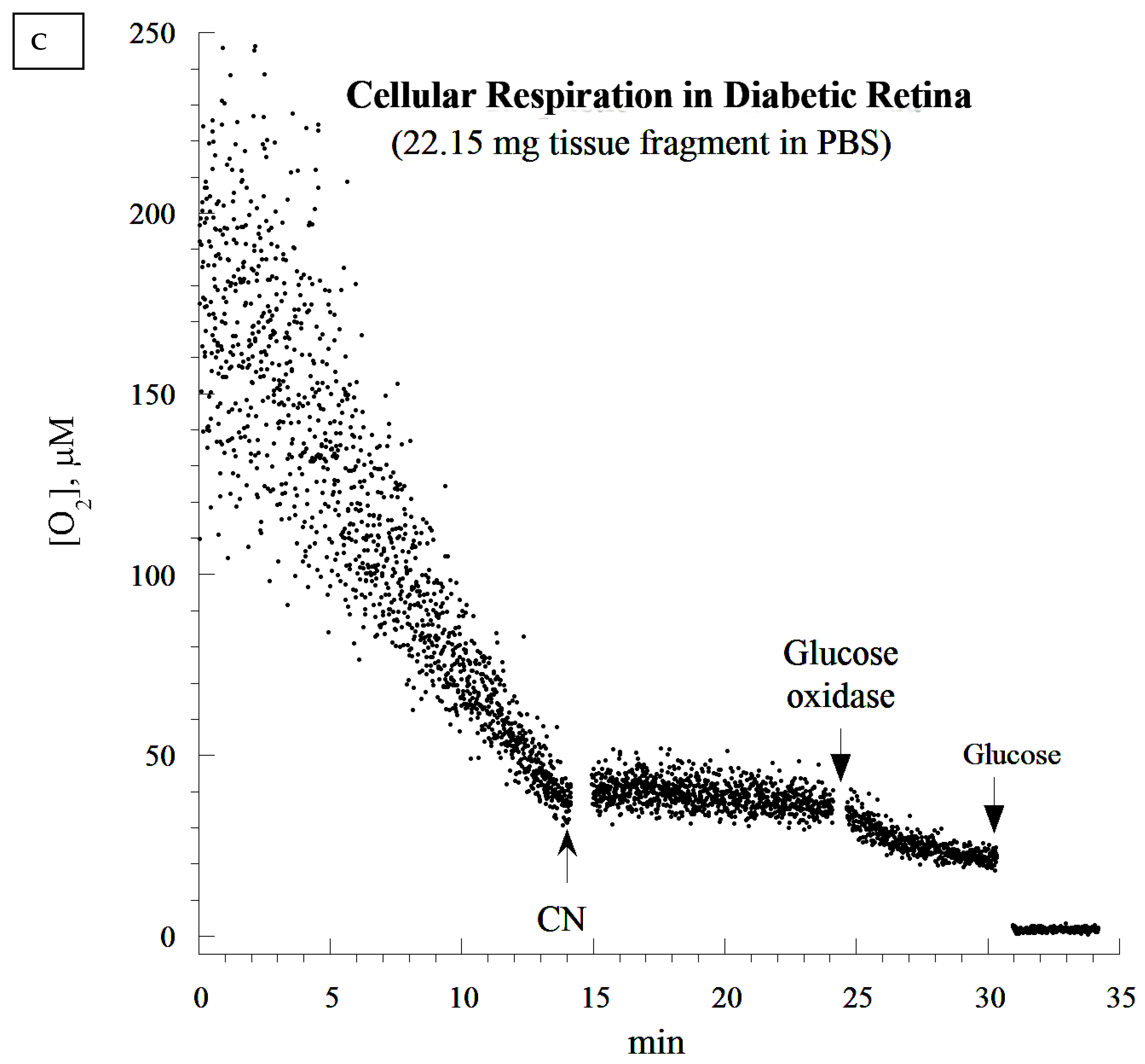 Cells 10 01981 g004c 550