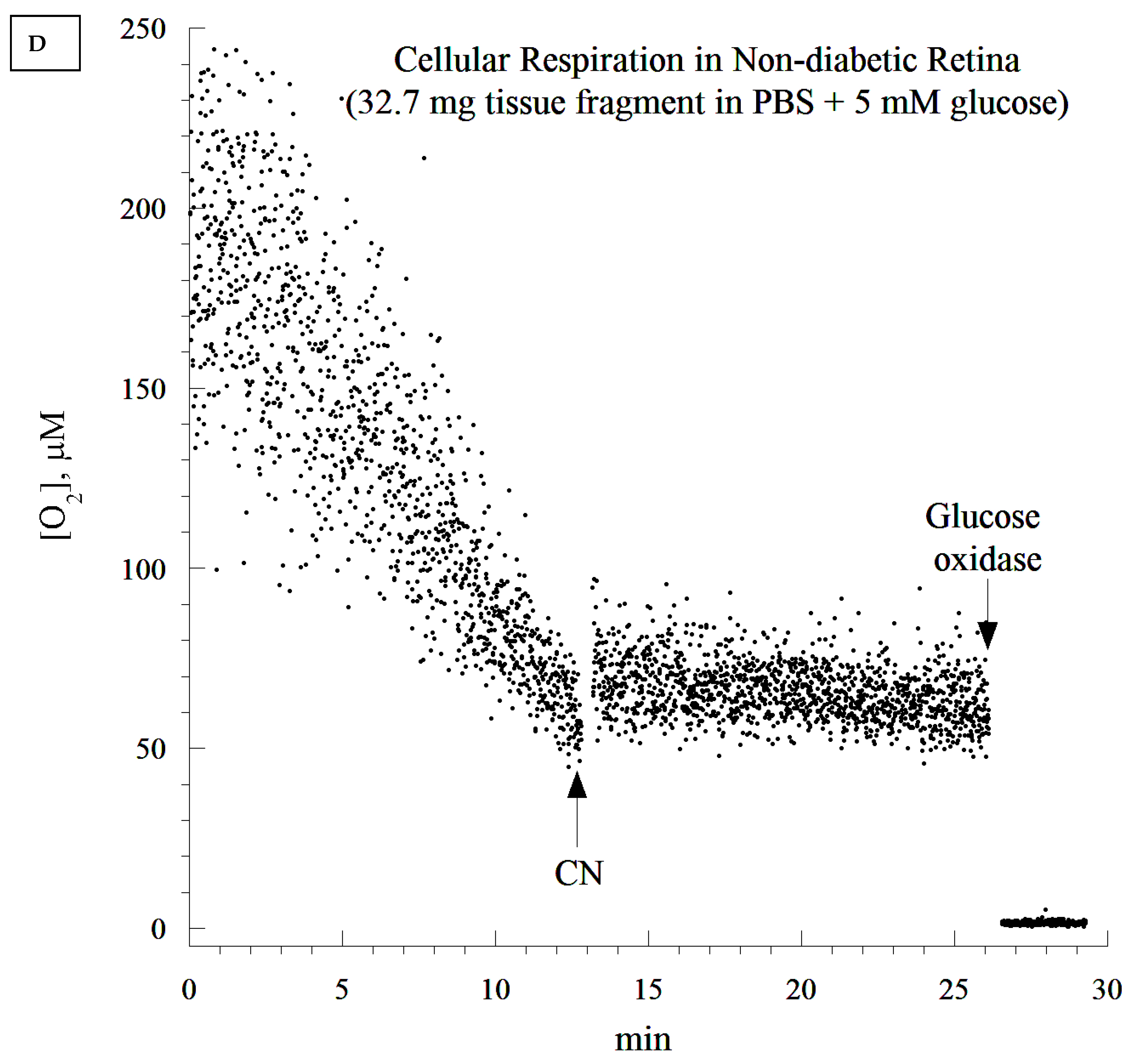 Cells 10 01981 g004d 550