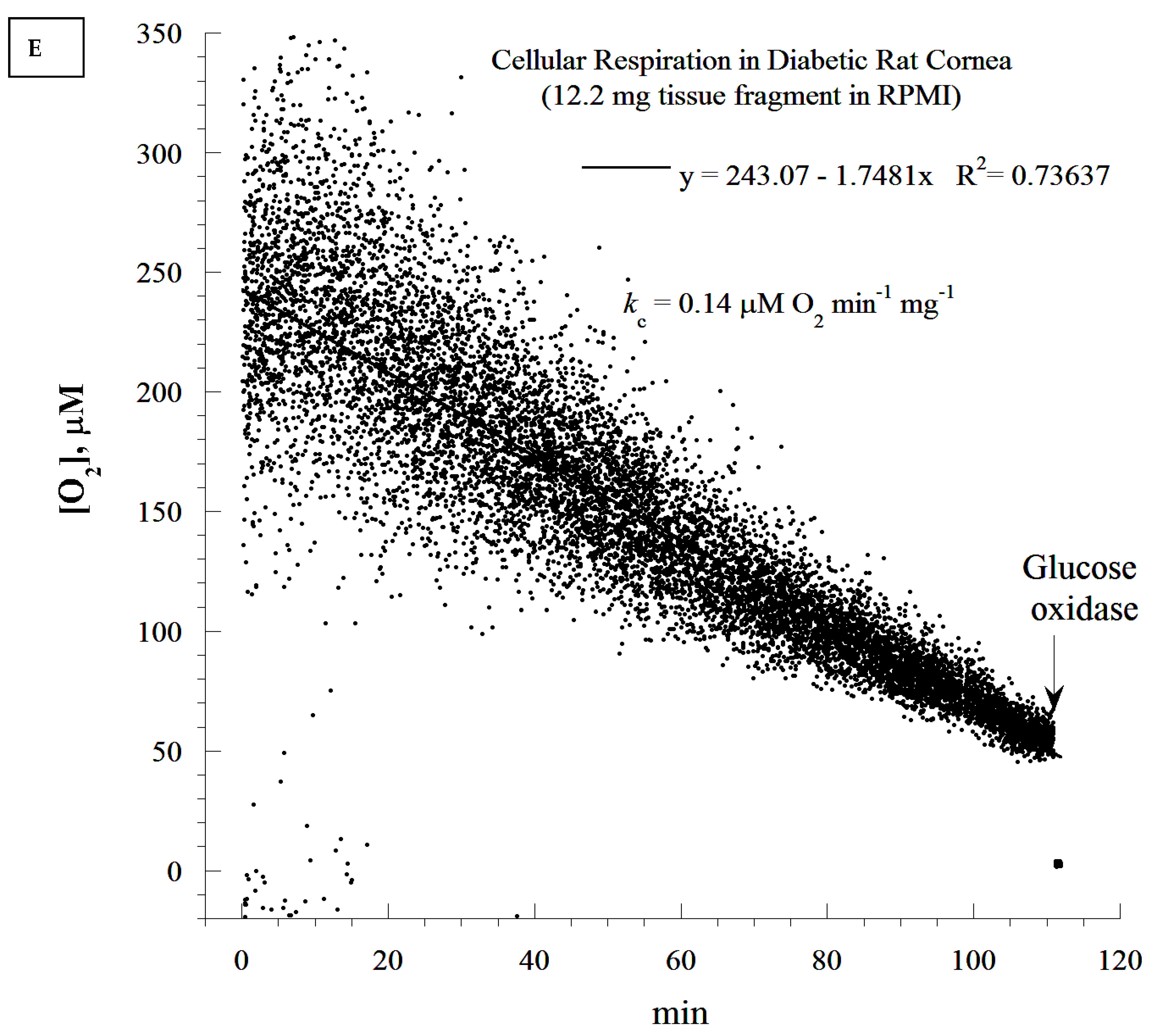 Cells 10 01981 g004e 550