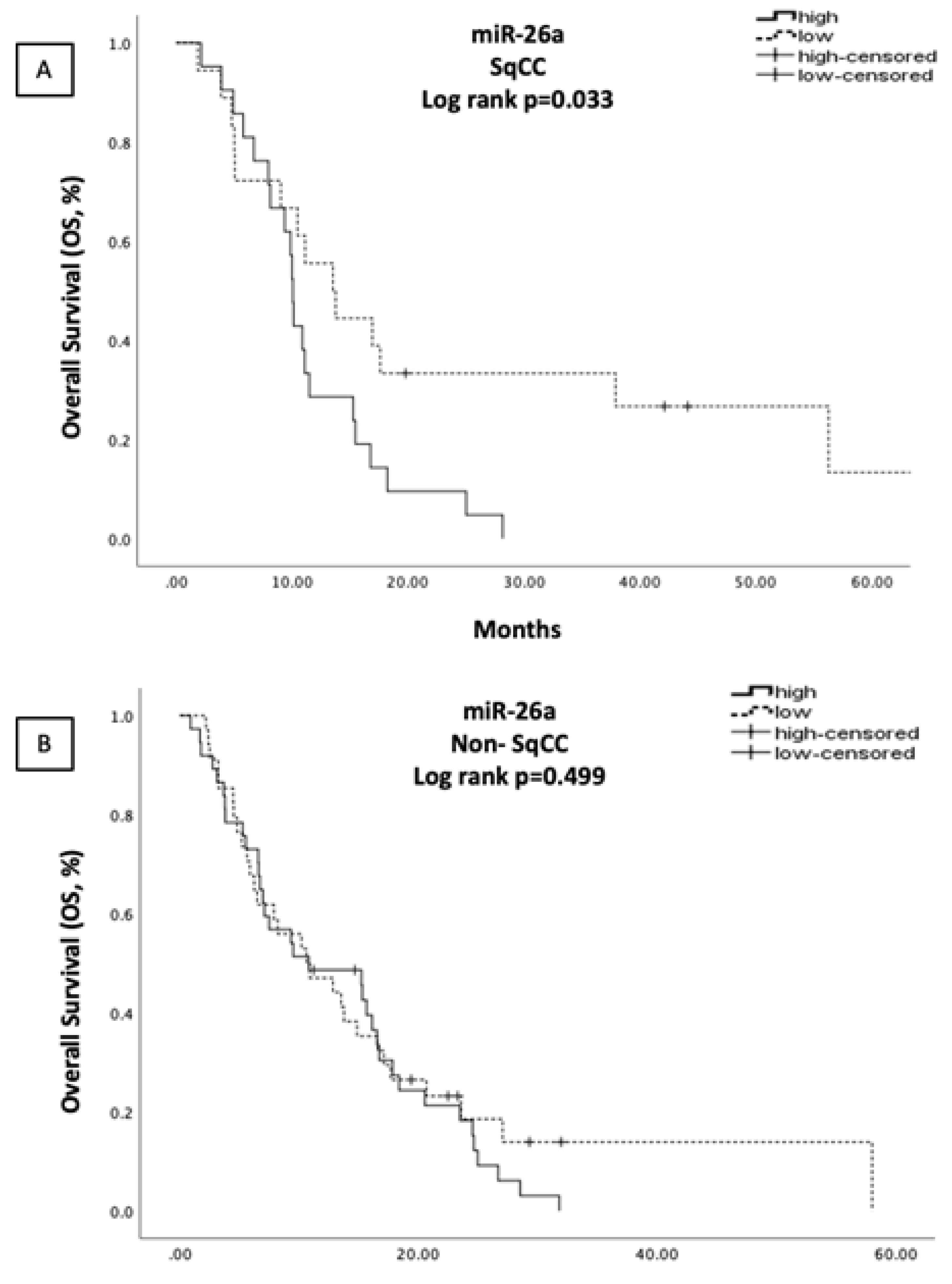 Cells 10 01988 g003 550