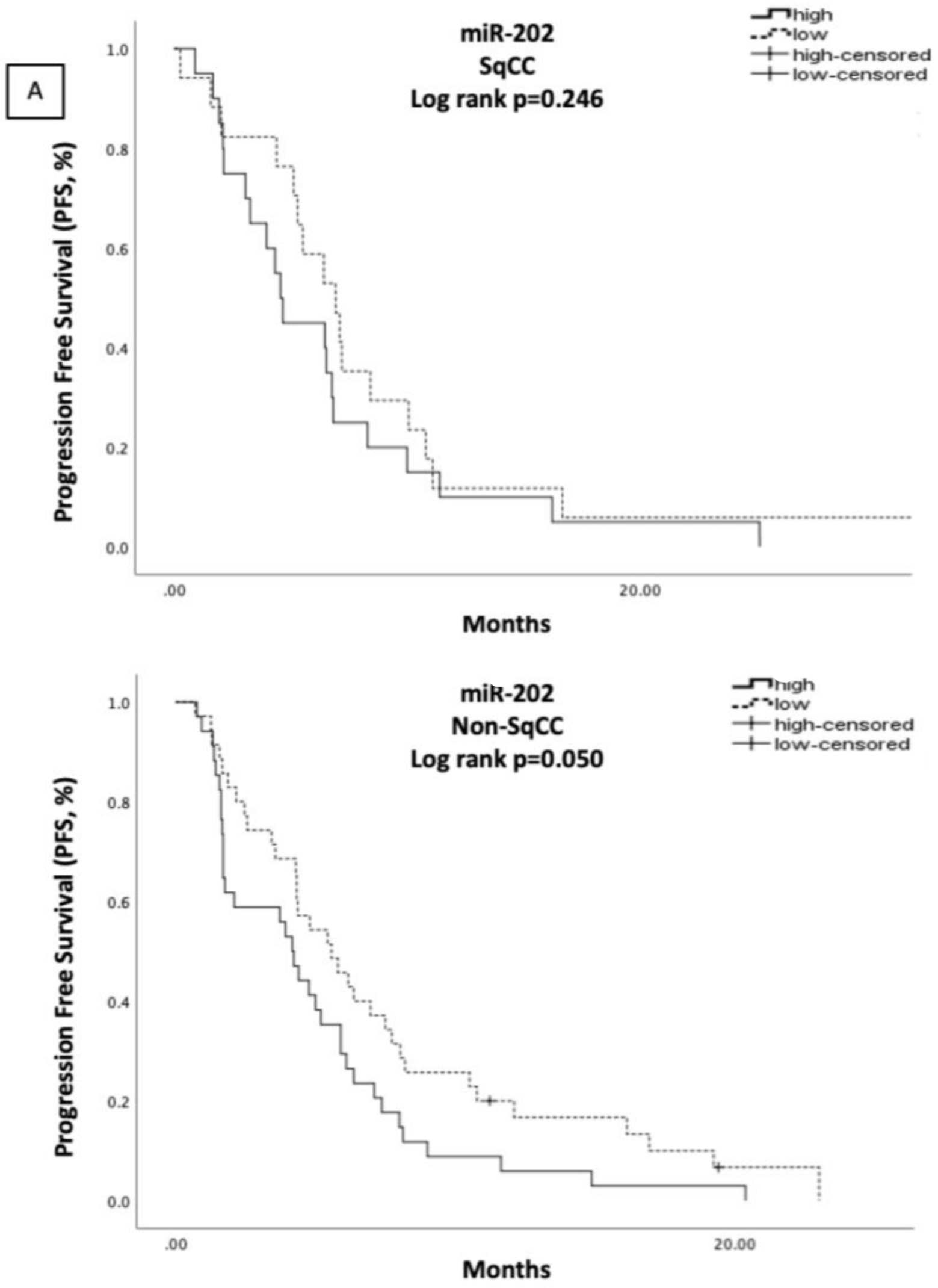 Cells 10 01988 g004a 550