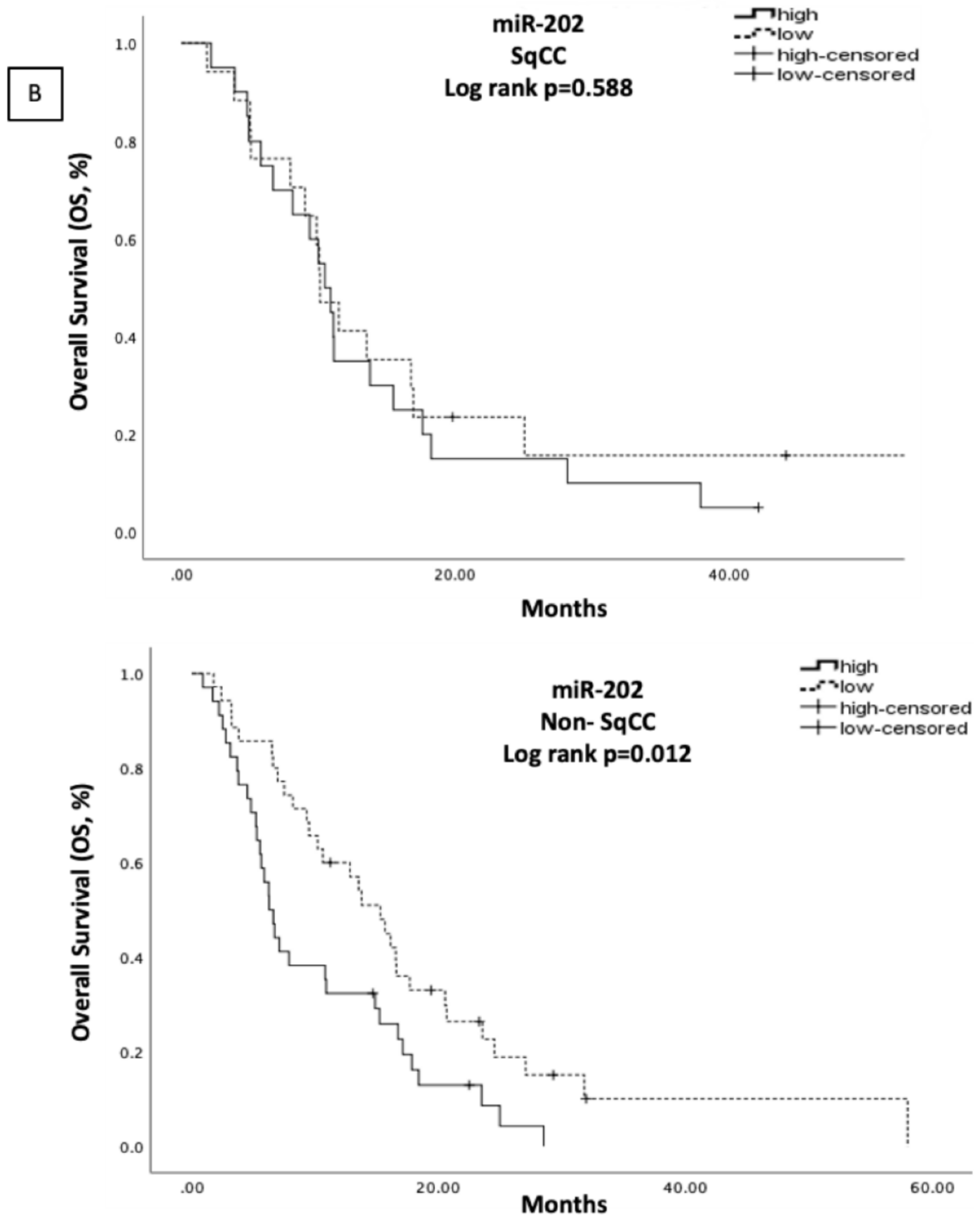 Cells 10 01988 g004b 550