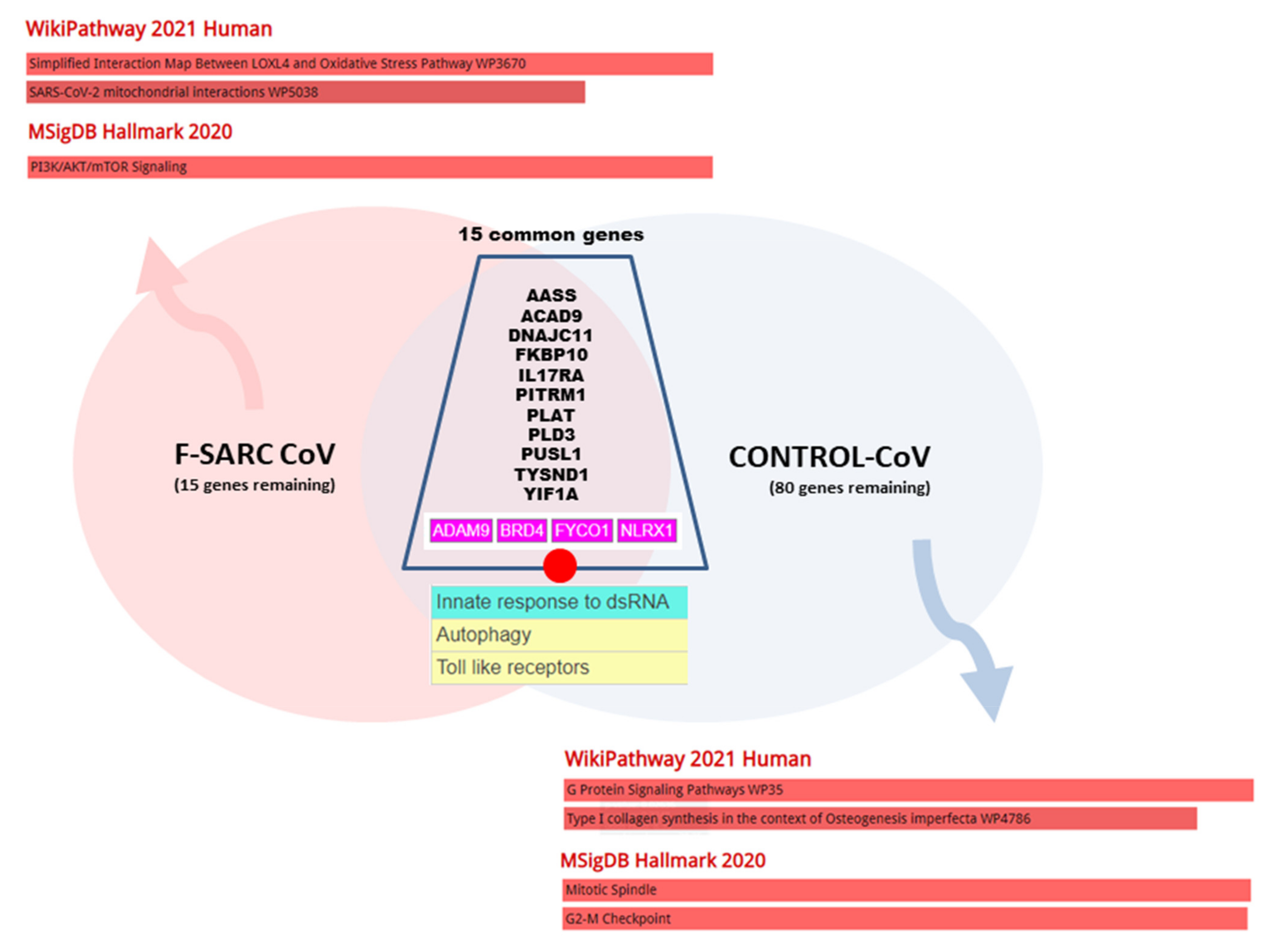 Cells 10 01995 g006 Cells 10 01995 g006