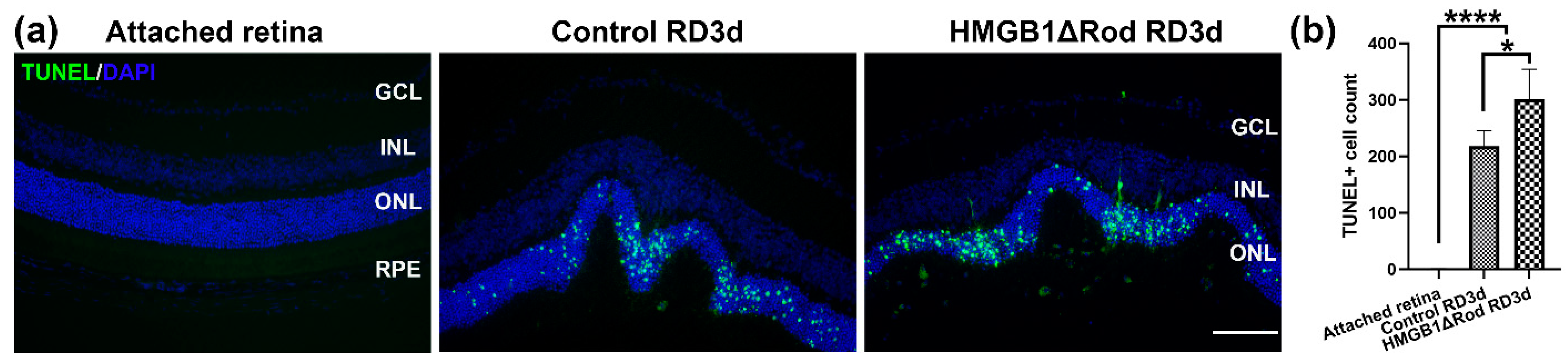 Cells 10 02010 g001 550